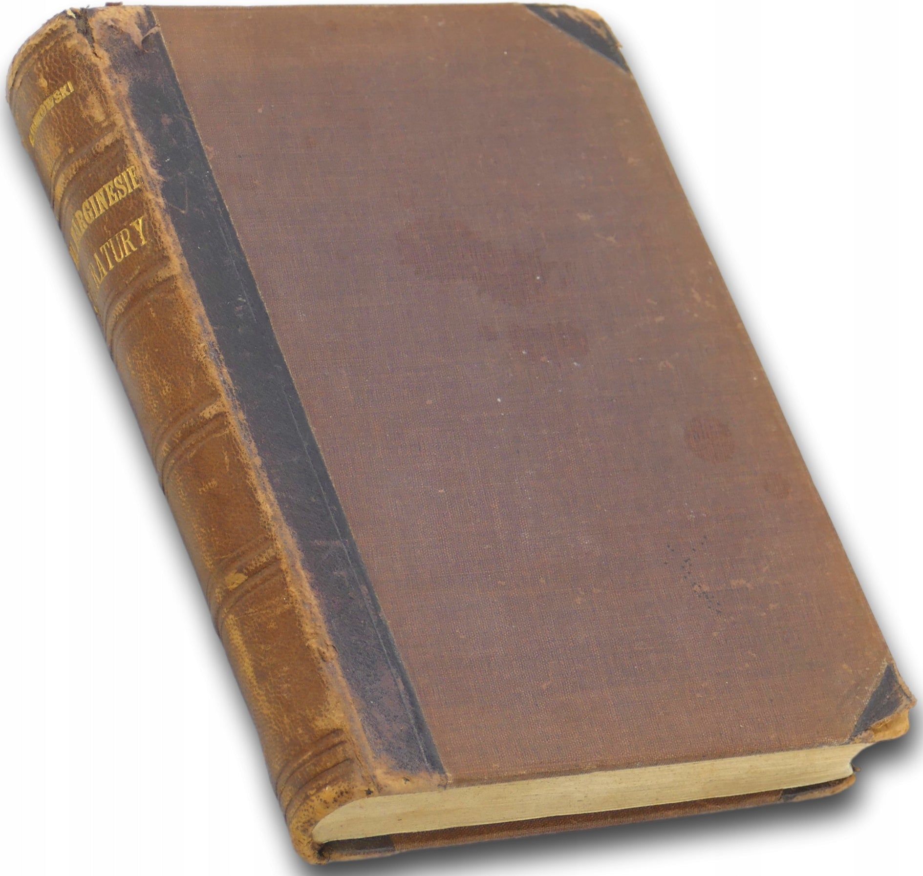 Na marginesie literatury Szkice i wrażenia Czesław Jankowski [1906]