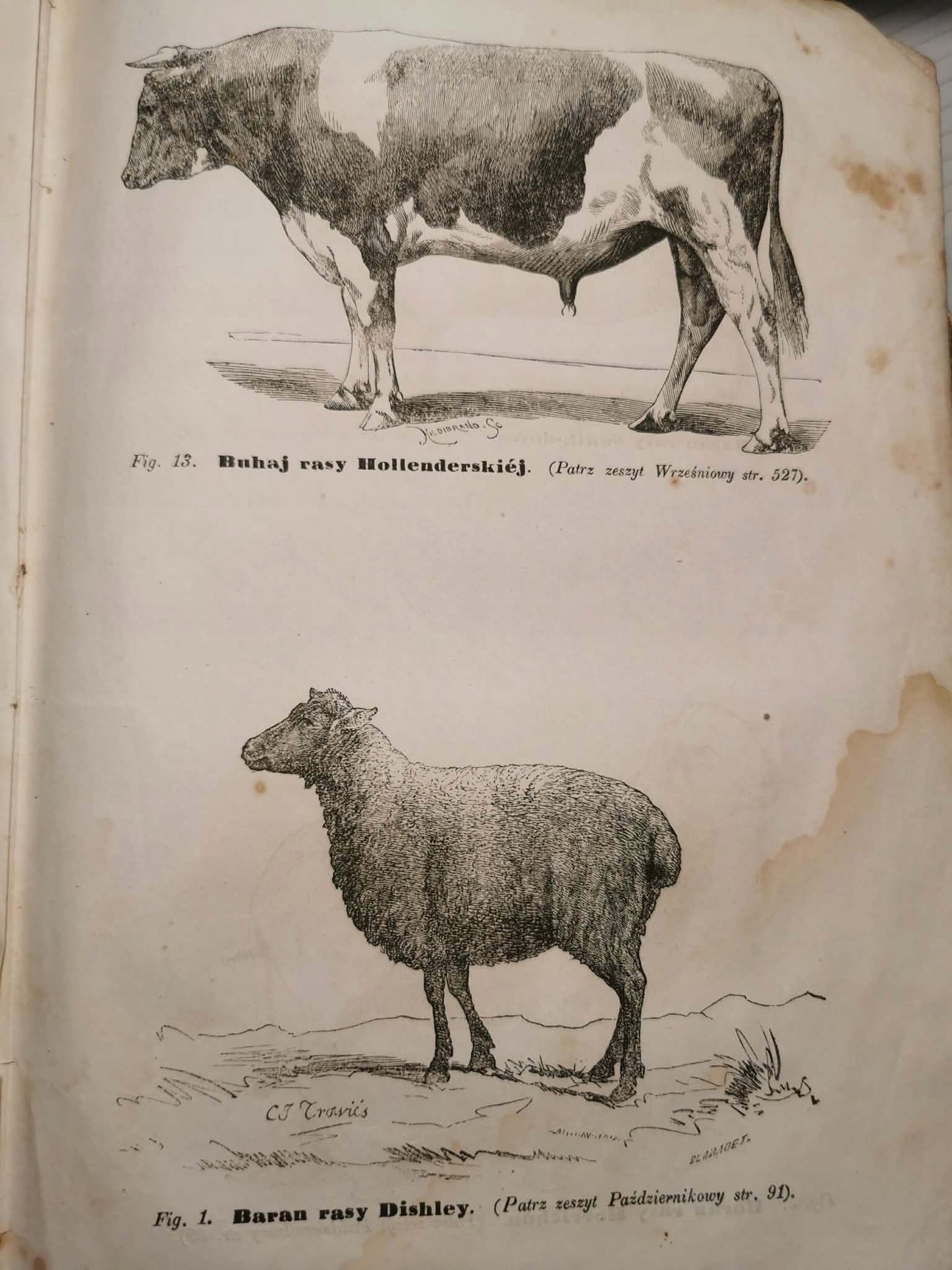 Roczniki gospodarstwa krajowego Towarzystwa Rolniczego [Warszawa 1860]
