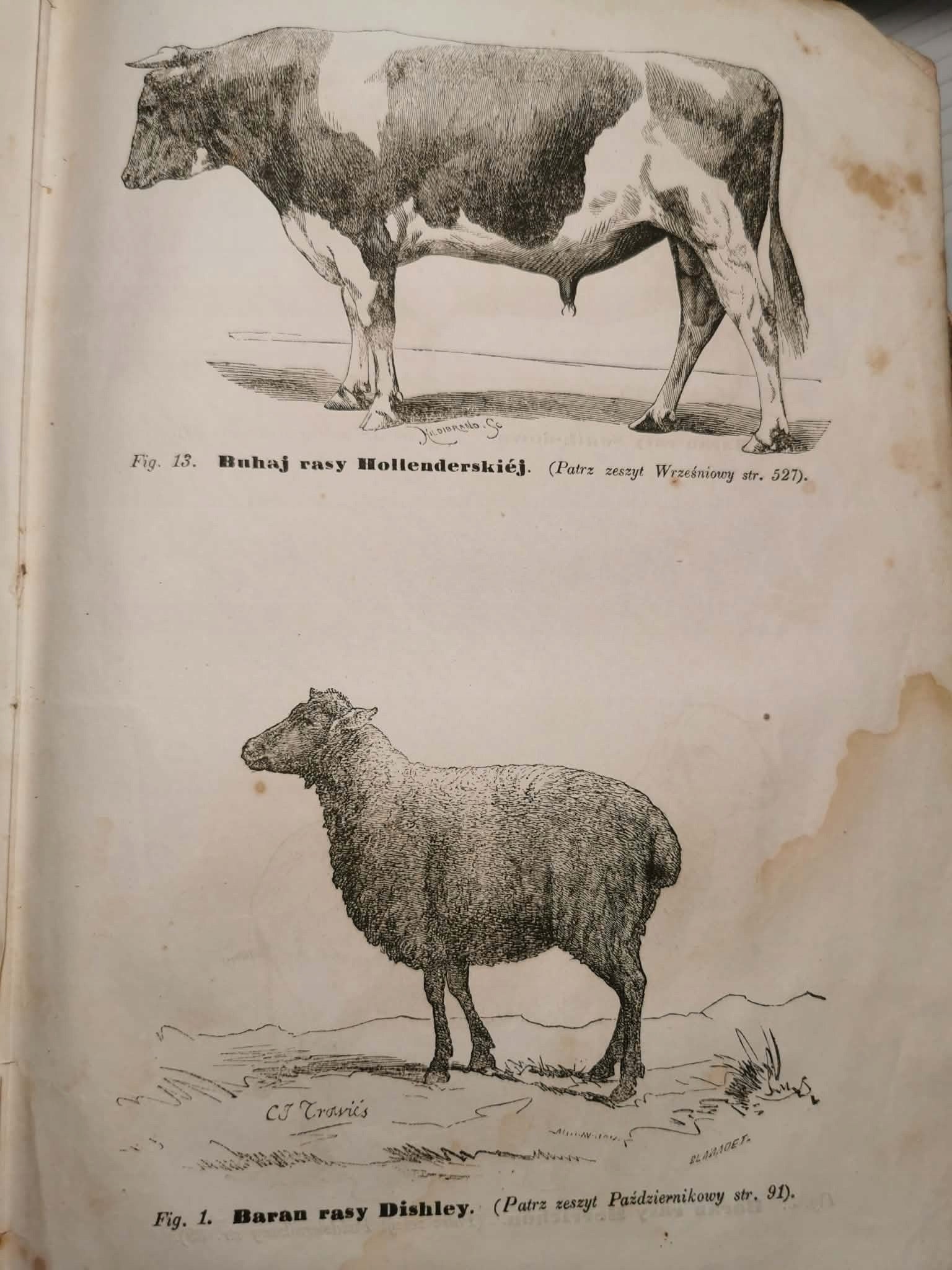 Roczniki gospodarstwa krajowego Towarzystwa Rolniczego [Warszawa 1860]