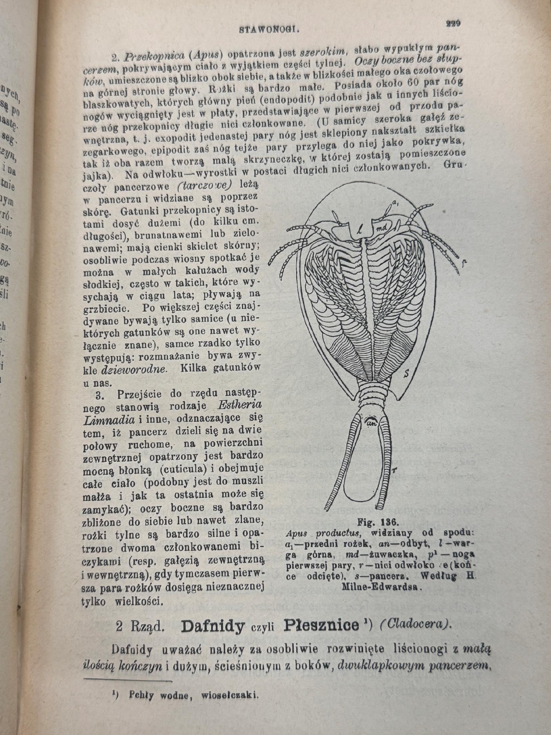 Podręcznik zoologii dla uczących sie i nauczających J. E. V. Boas [1898 r.]