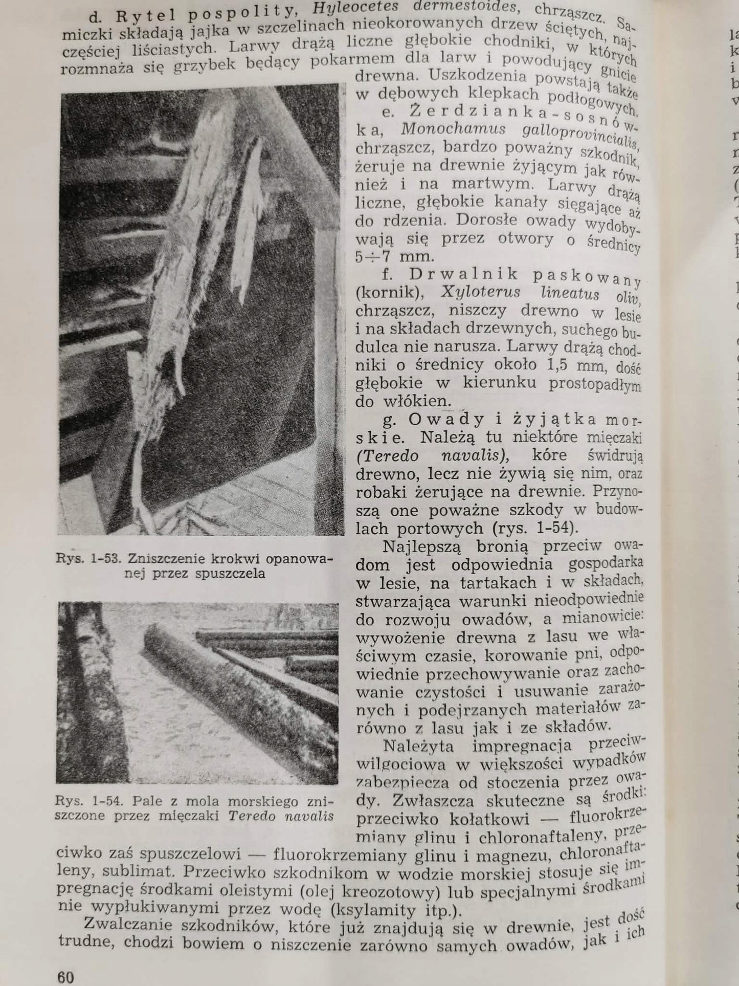 Budownictwo ogólne t. I, W. Zenczykowski [1956]