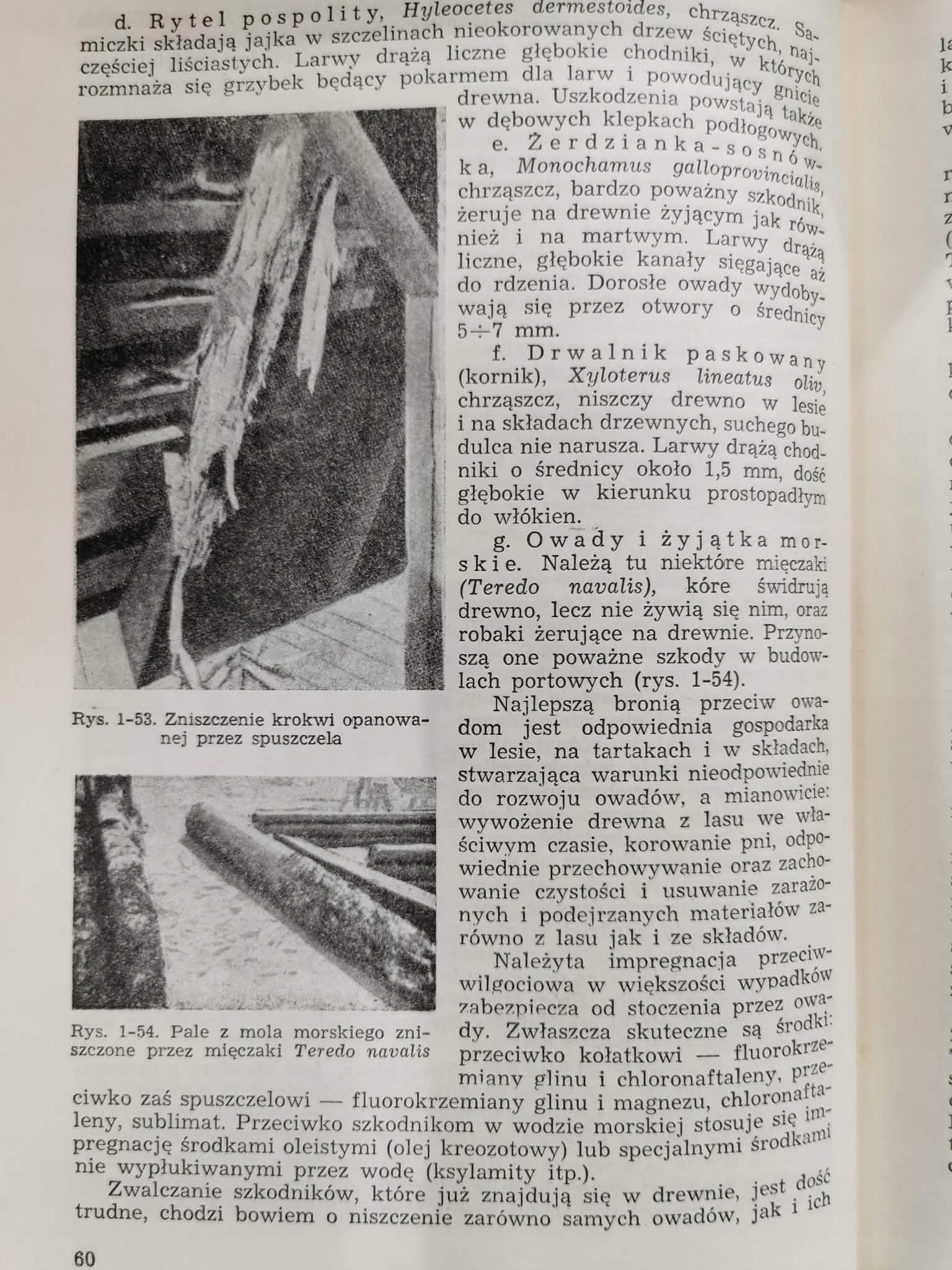 Budownictwo ogólne t. I, W. Zenczykowski [1956]