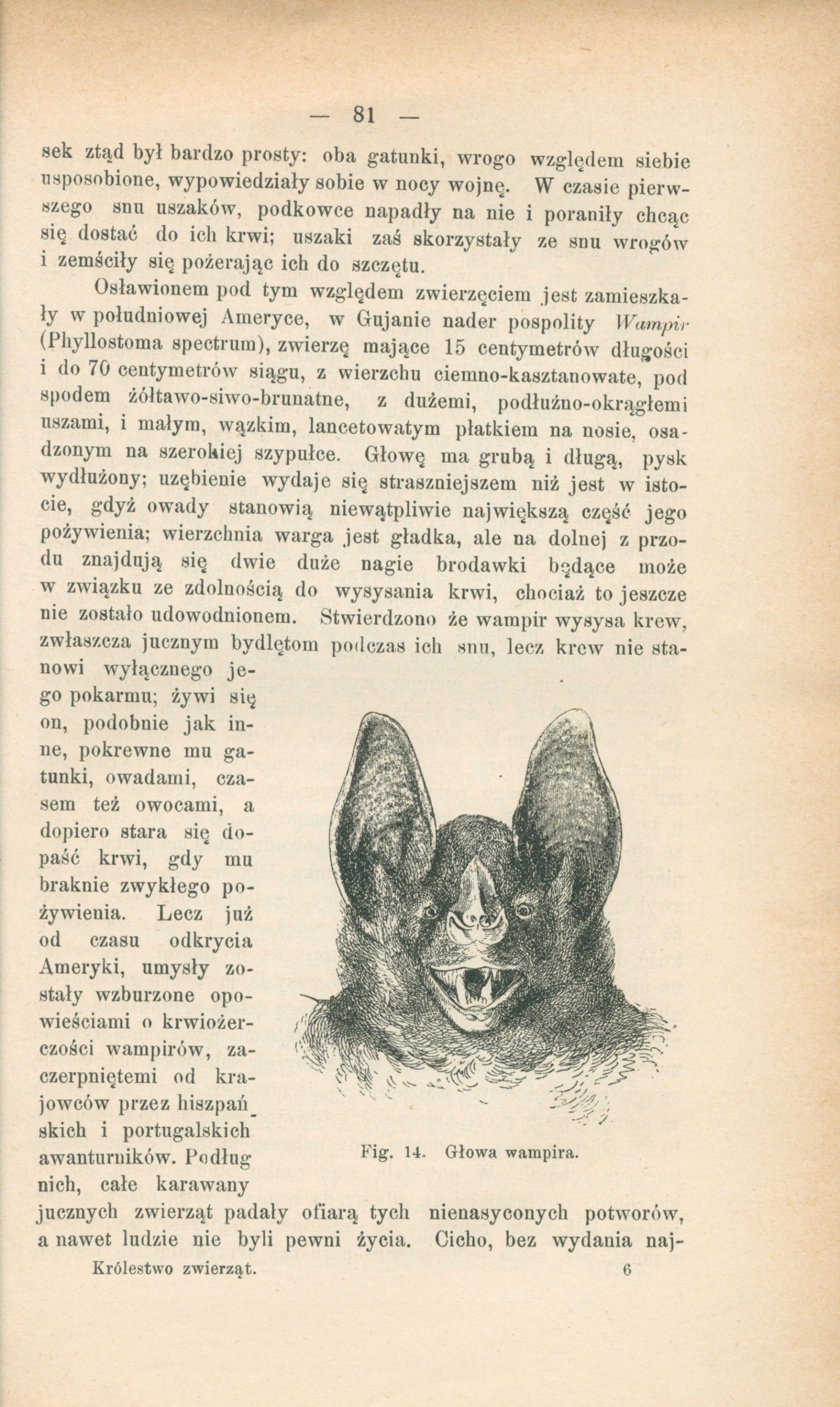 Królestwo zwierząt, Lakowitz Waldemar [Warszawa 1893]