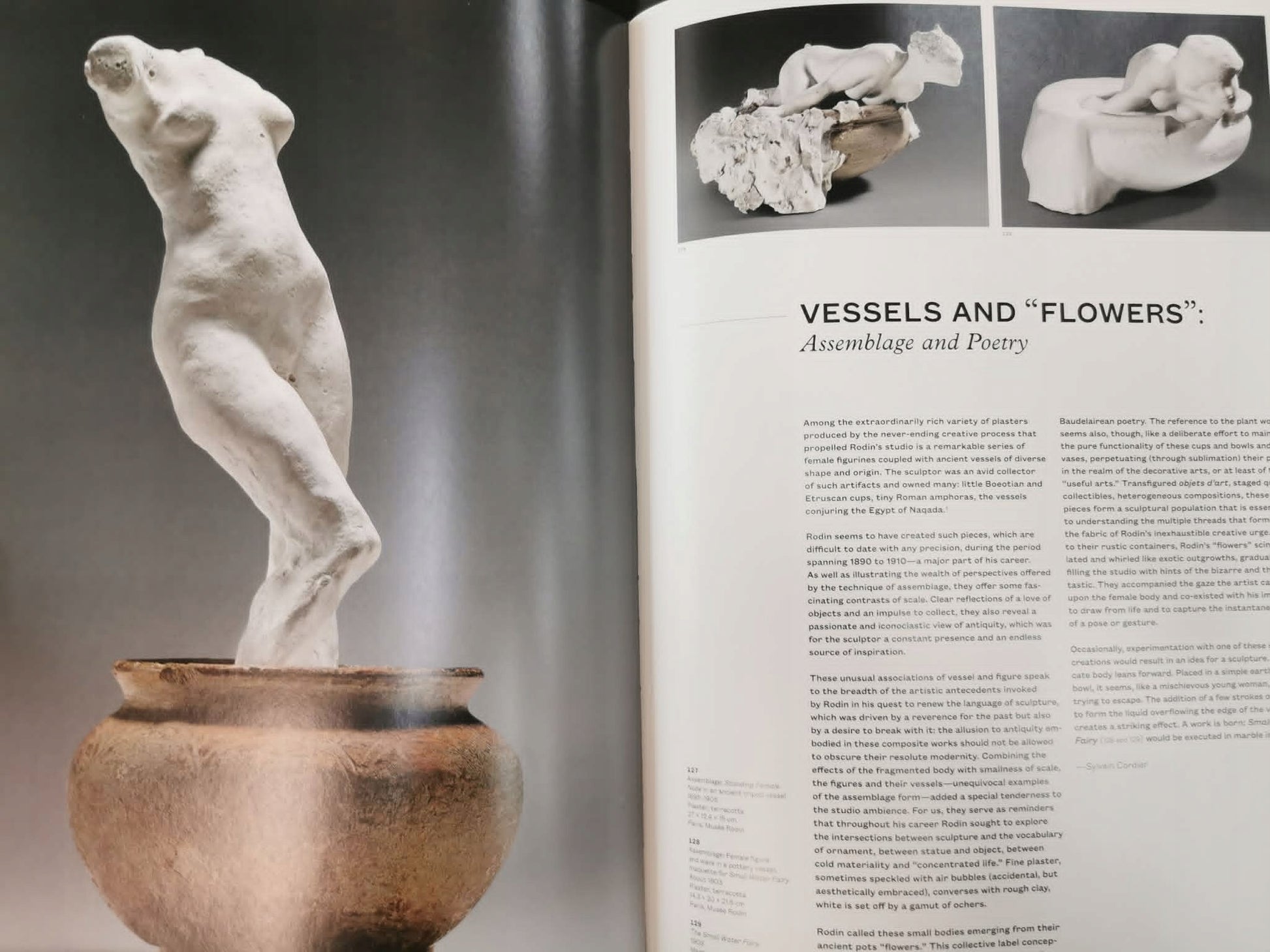 Metamorphoses in Rodin's Studio, N Bondil