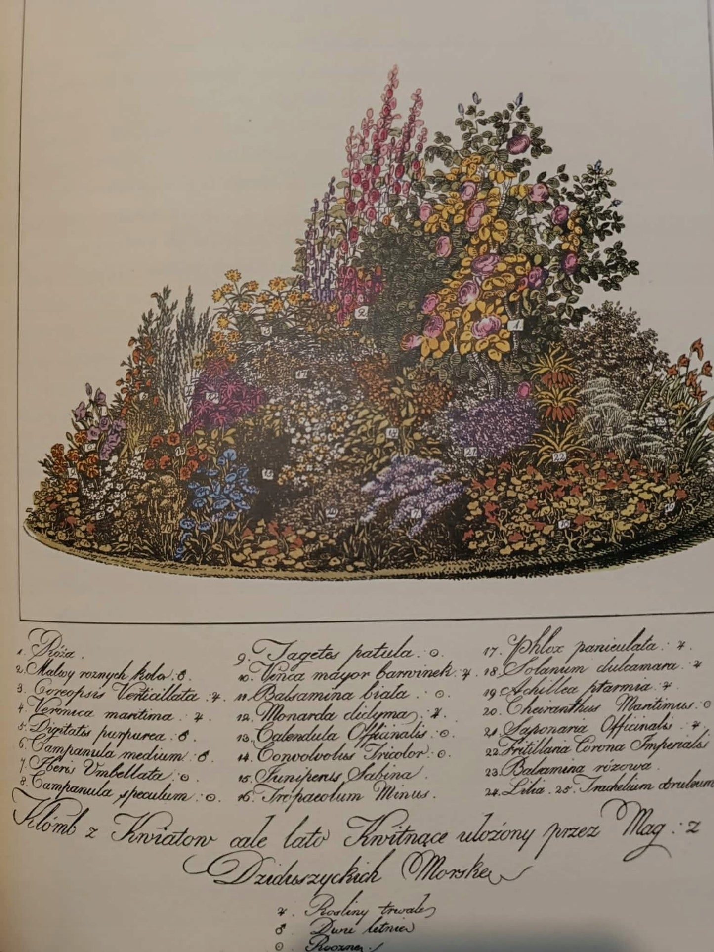 Myśli różne o sposobie zakładania ogrodów przez Izabelę Czartoryską [1805]