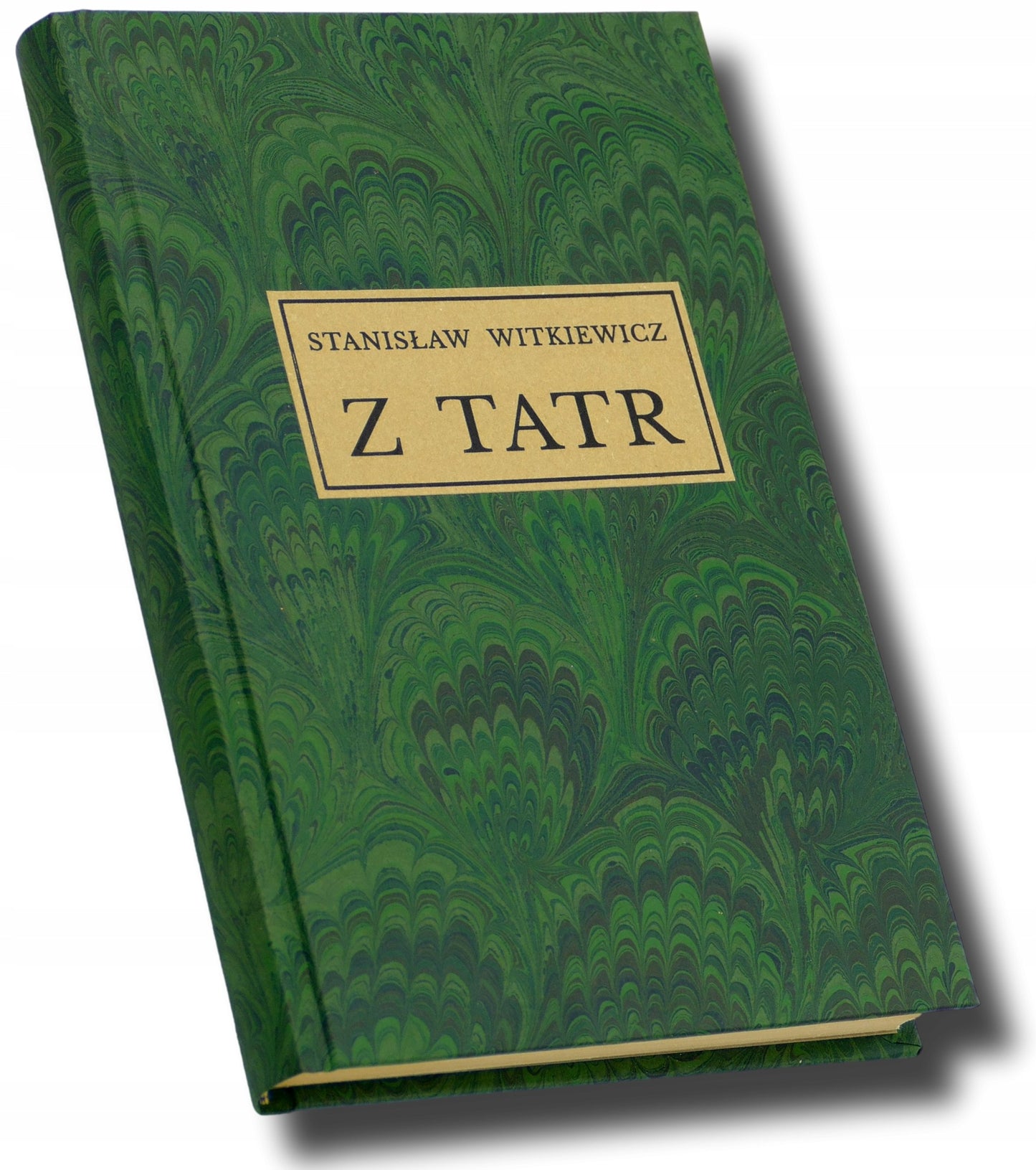 Z Tatr Stanisław Ignacy Witkiewicz [Lwów 1907][I. wyd.]