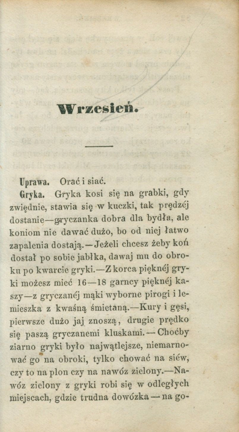 Polanin czyli Przypomnienia gospodarskie, Bonifacy Ossuchowski