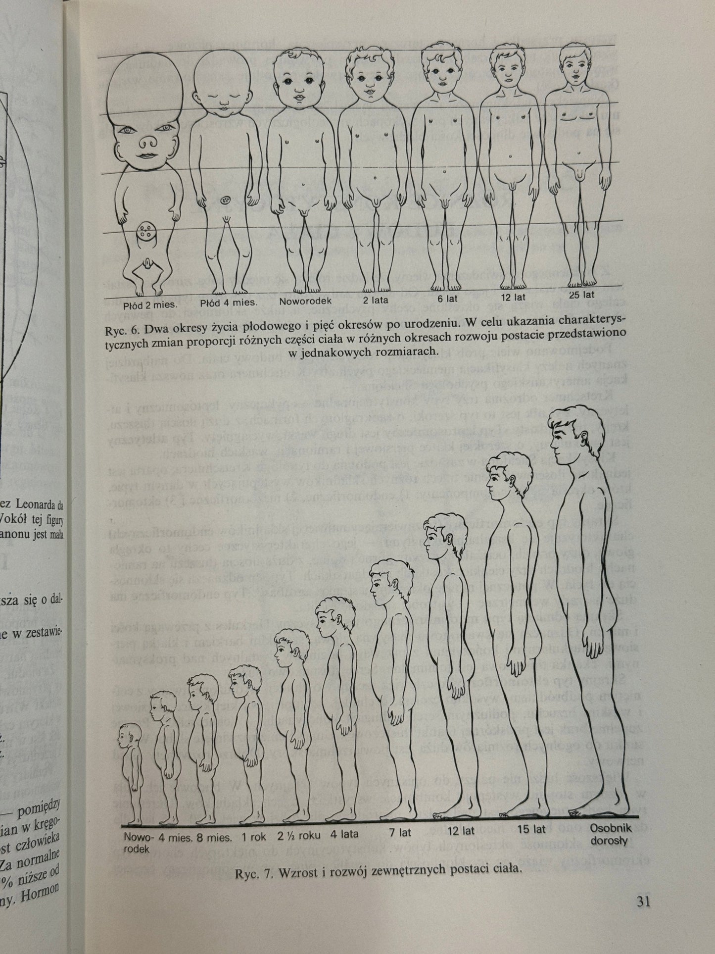 Anatomia i fizjologia człowieka Aleksander Michajlik, Witold Ramotowski