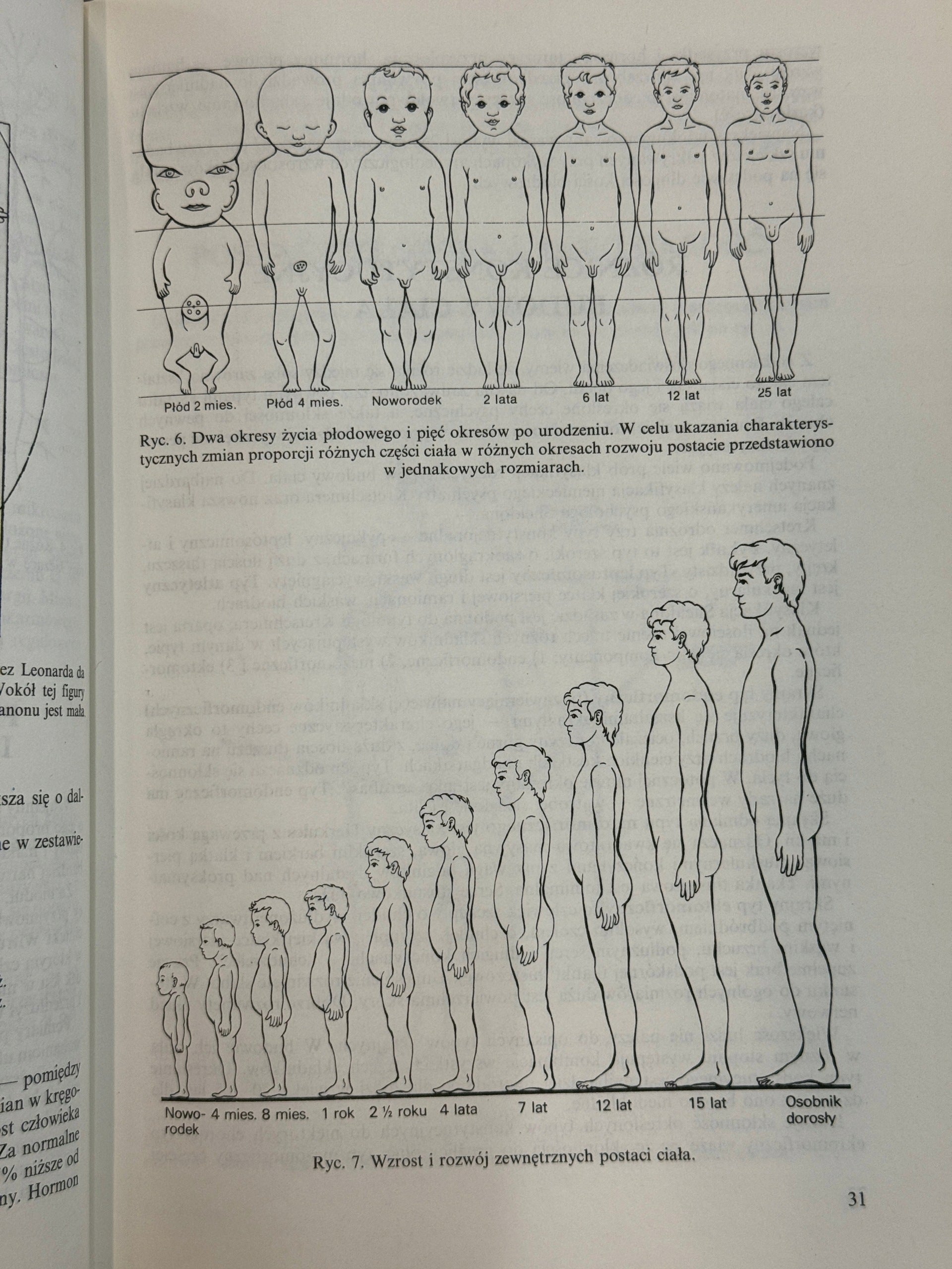 Anatomia i fizjologia człowieka Aleksander Michajlik, Witold Ramotowski
