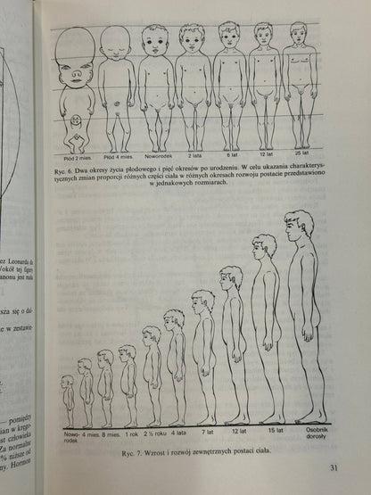 Anatomia i fizjologia człowieka Aleksander Michajlik, Witold Ramotowski