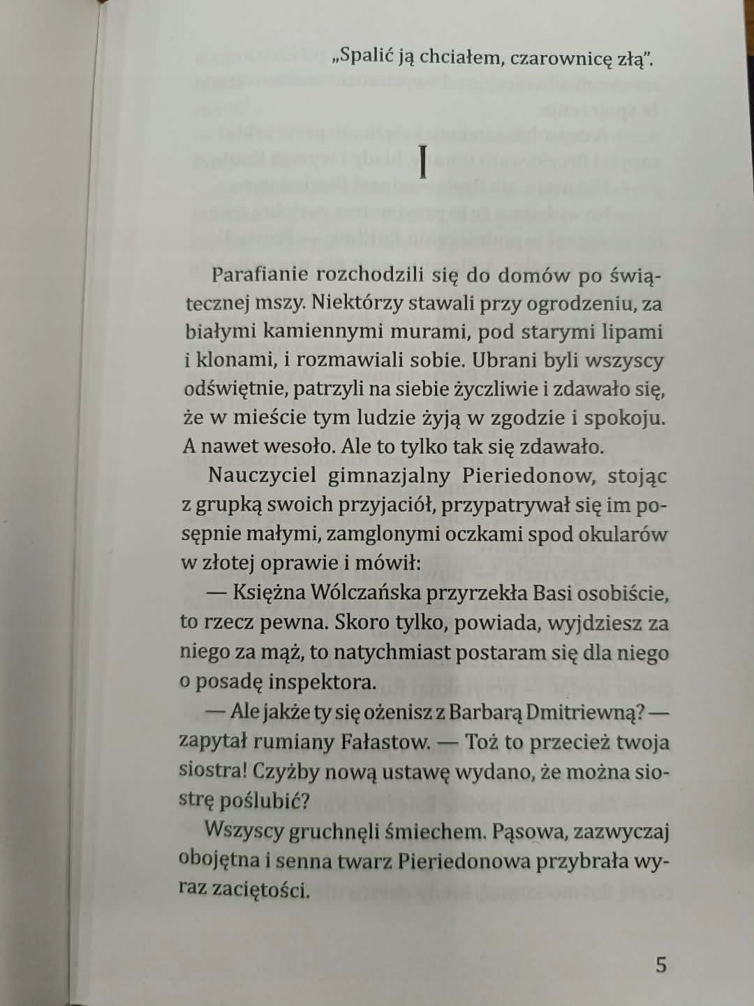 Mały bies, Fiodor Sołogub