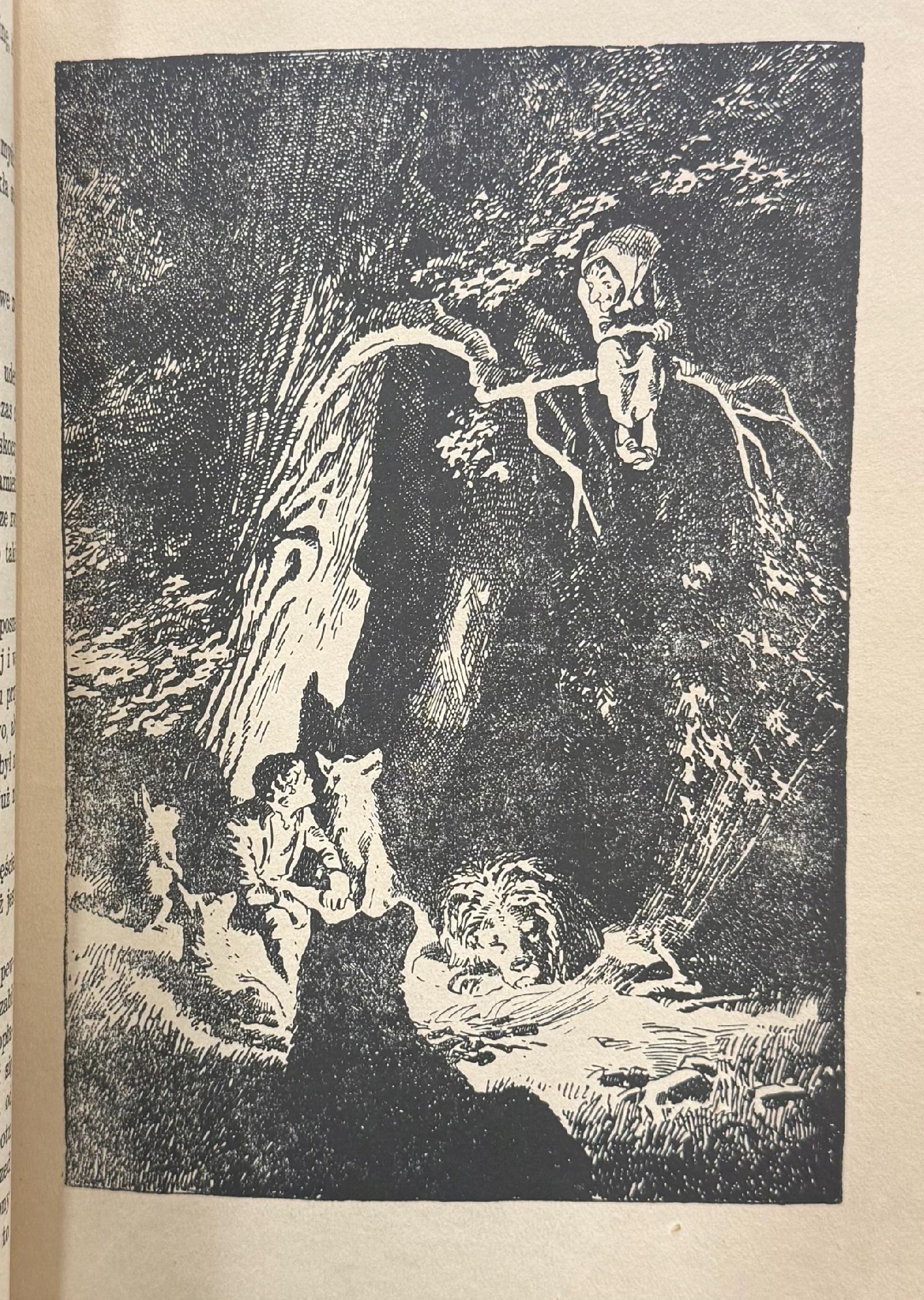 Bajki z ilustracjami Bracia Grimm [Kraków 1937]
