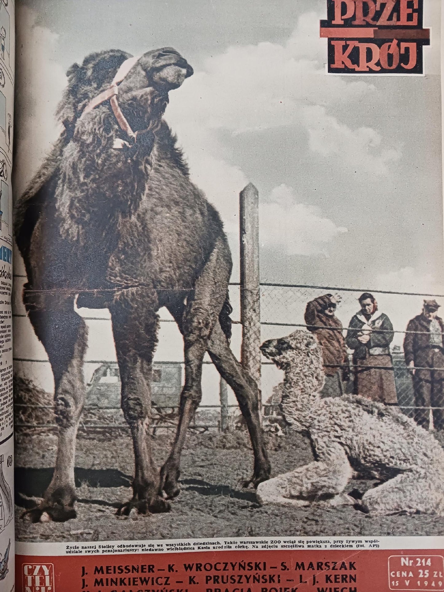 e1507505d46022a6de8f254d71e71d45