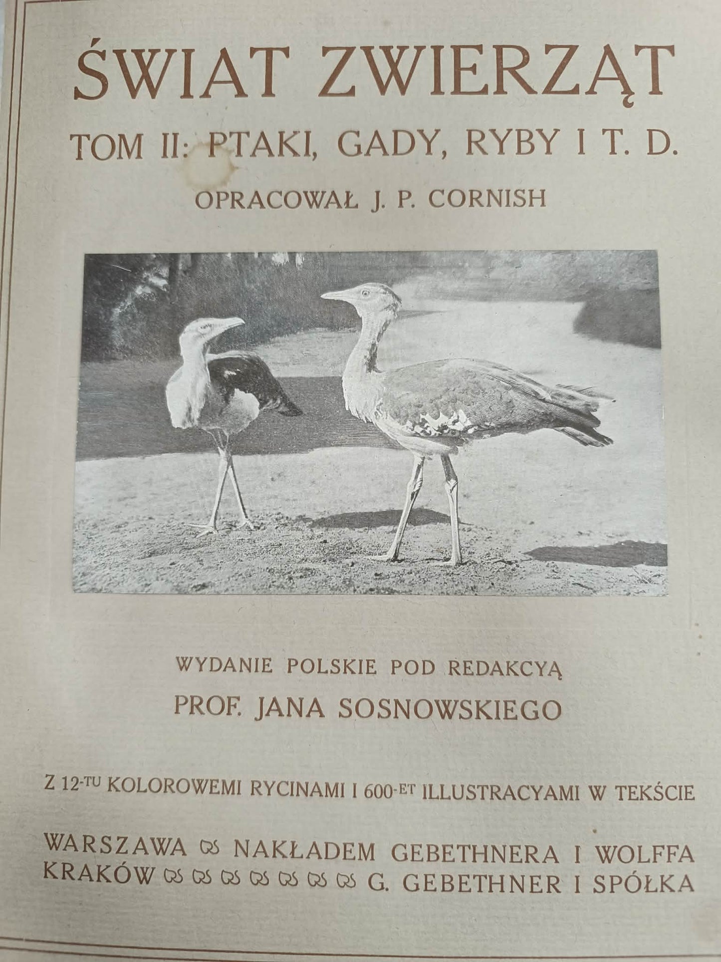 J. P. Cornish, Świat zwierząt T. I, II [1911] [liczne ilustracje]
