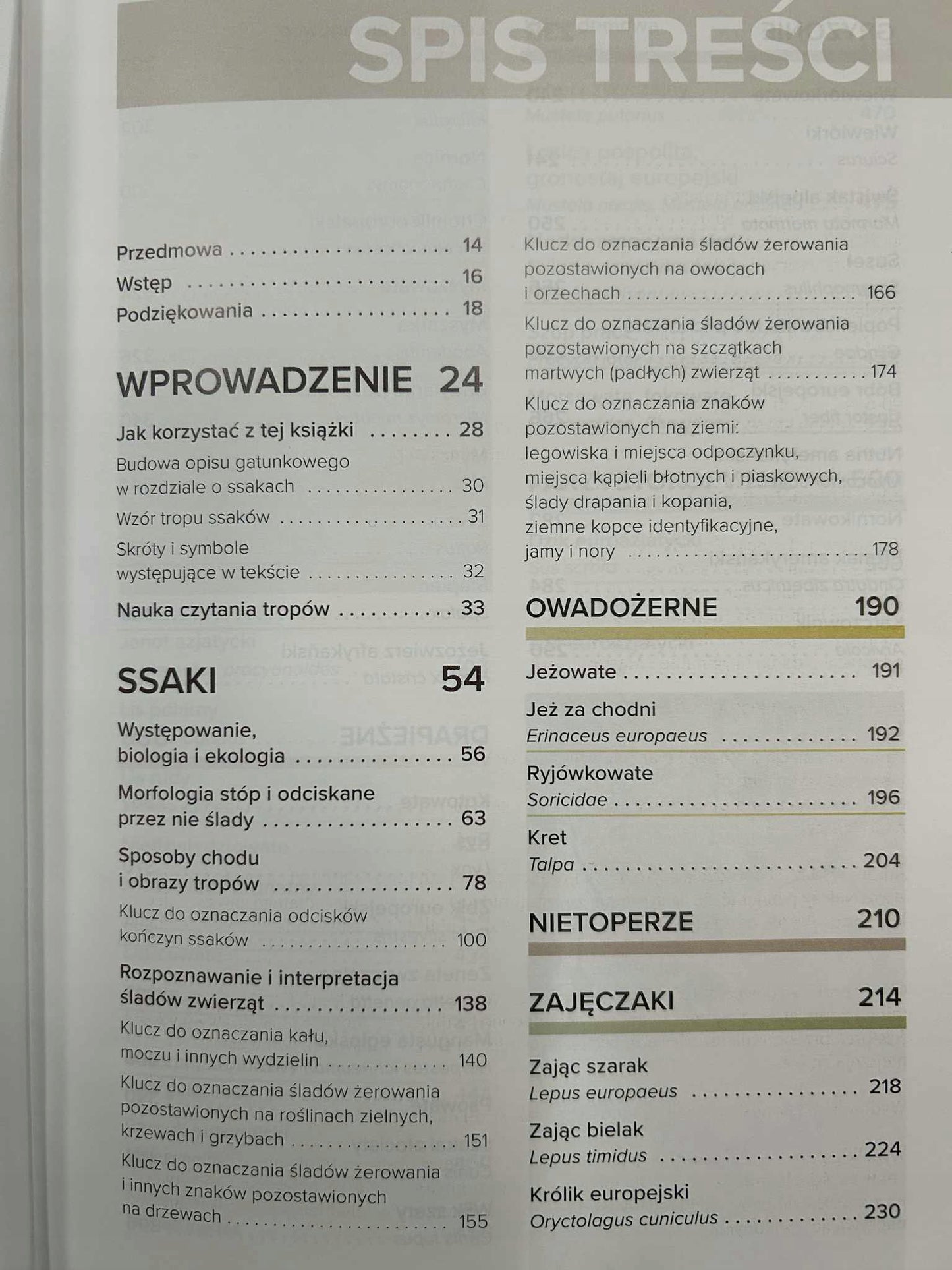 91301886344c854f9becfe99da9937dc