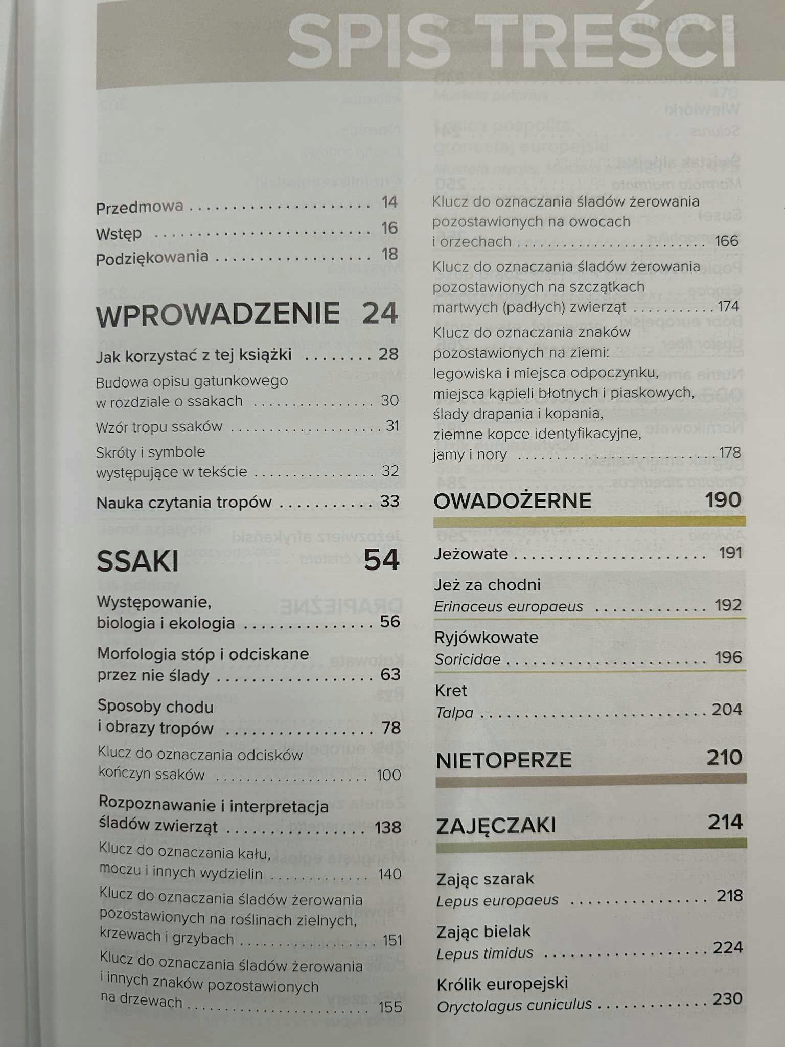 91301886344c854f9becfe99da9937dc