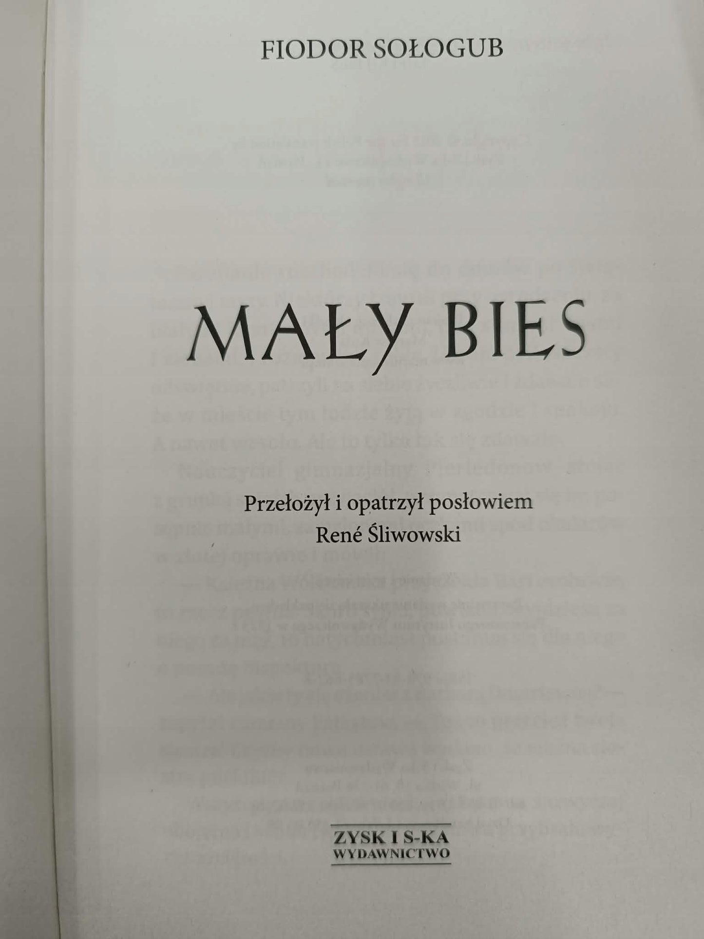 Mały bies, Fiodor Sołogub