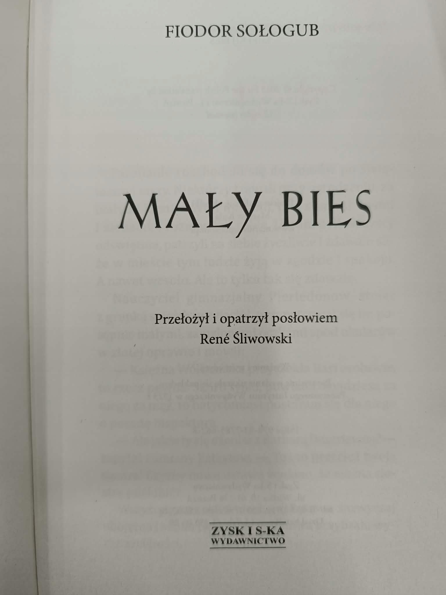 Mały bies, Fiodor Sołogub