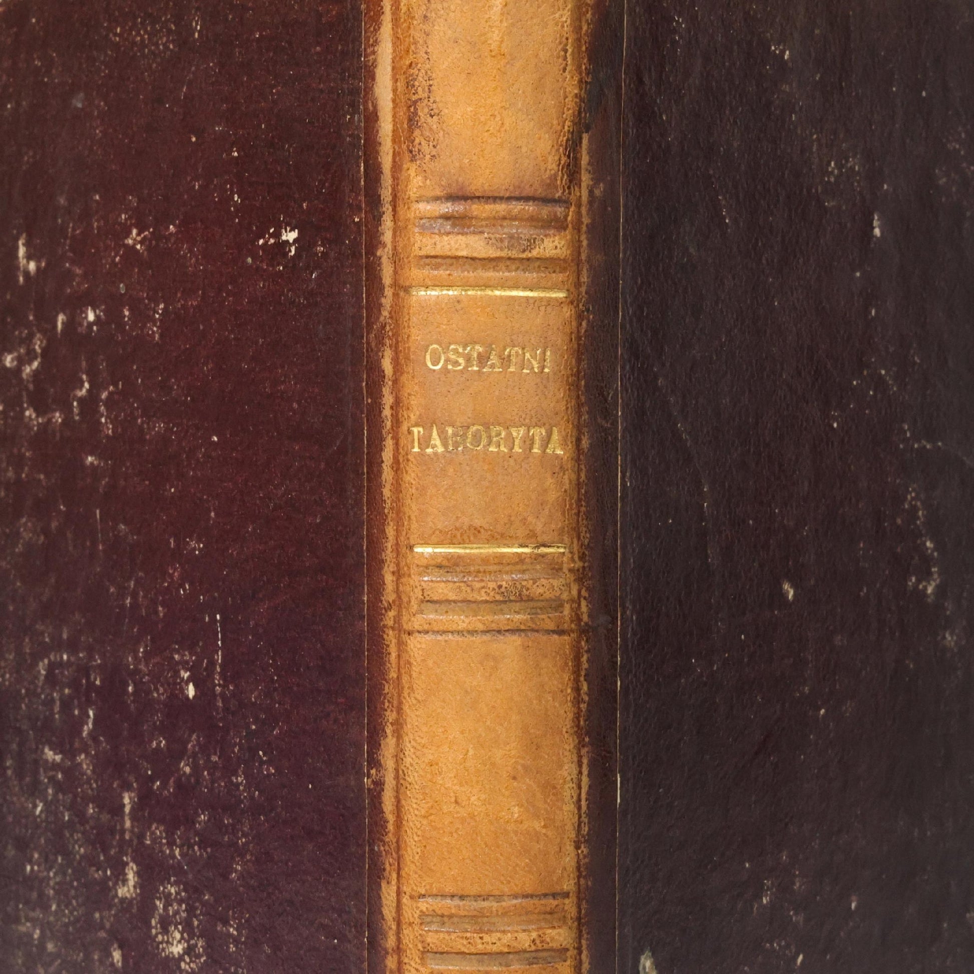 Ostatni taboryta. Powieść historyczna z XV w., K. Herlossohn [Lwów 1869]