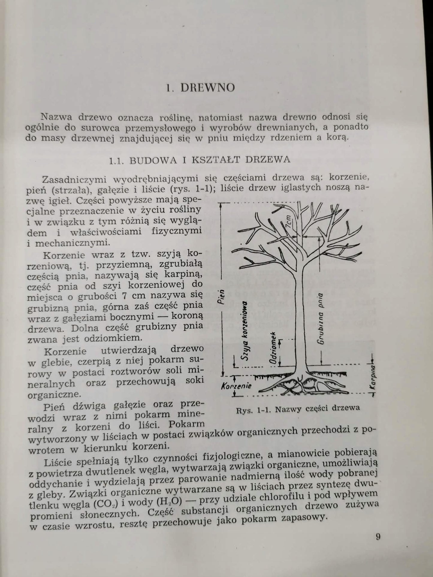 Budownictwo ogólne t. I, W. Zenczykowski [1956]