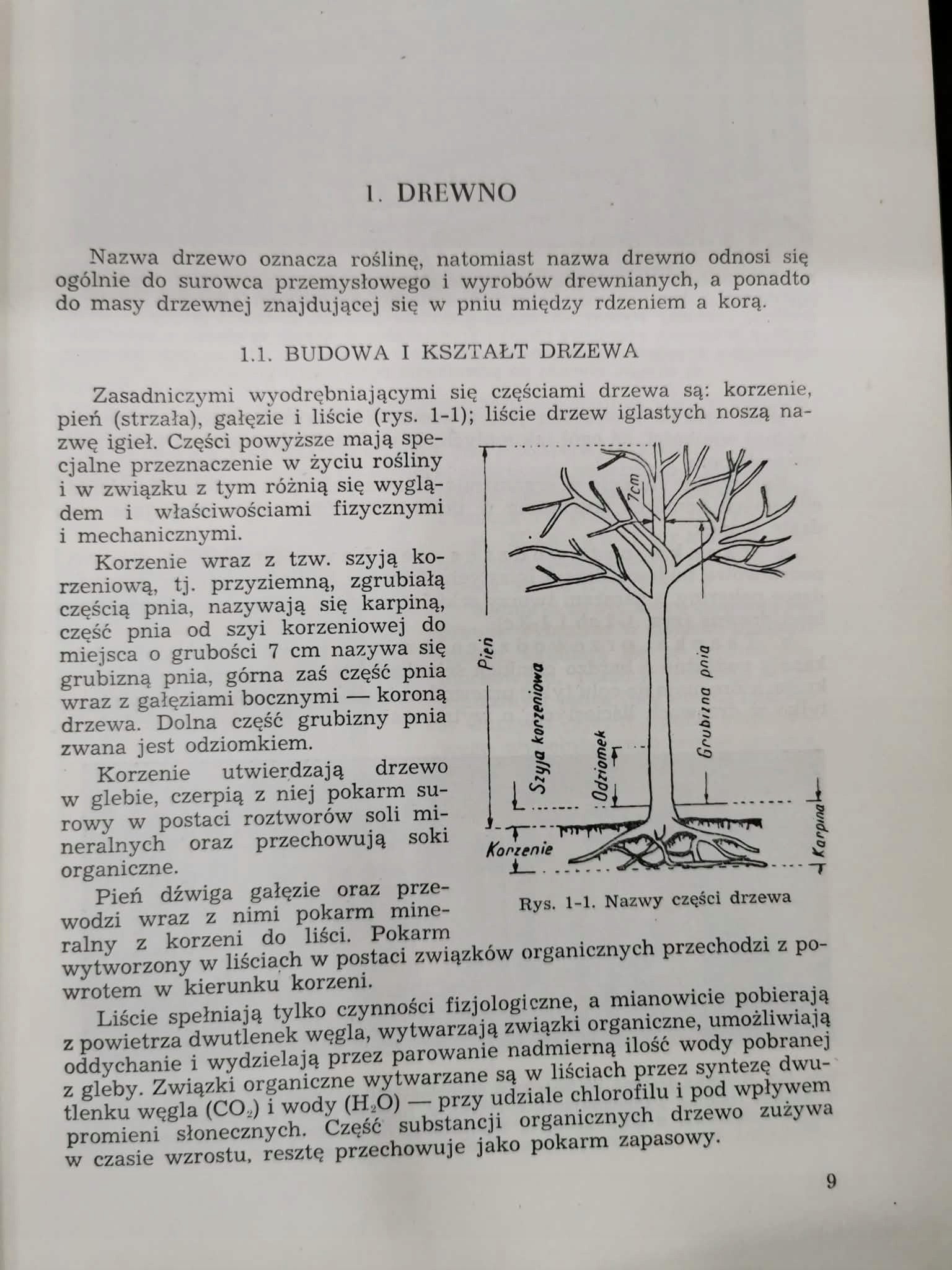 Budownictwo ogólne t. I, W. Zenczykowski [1956]