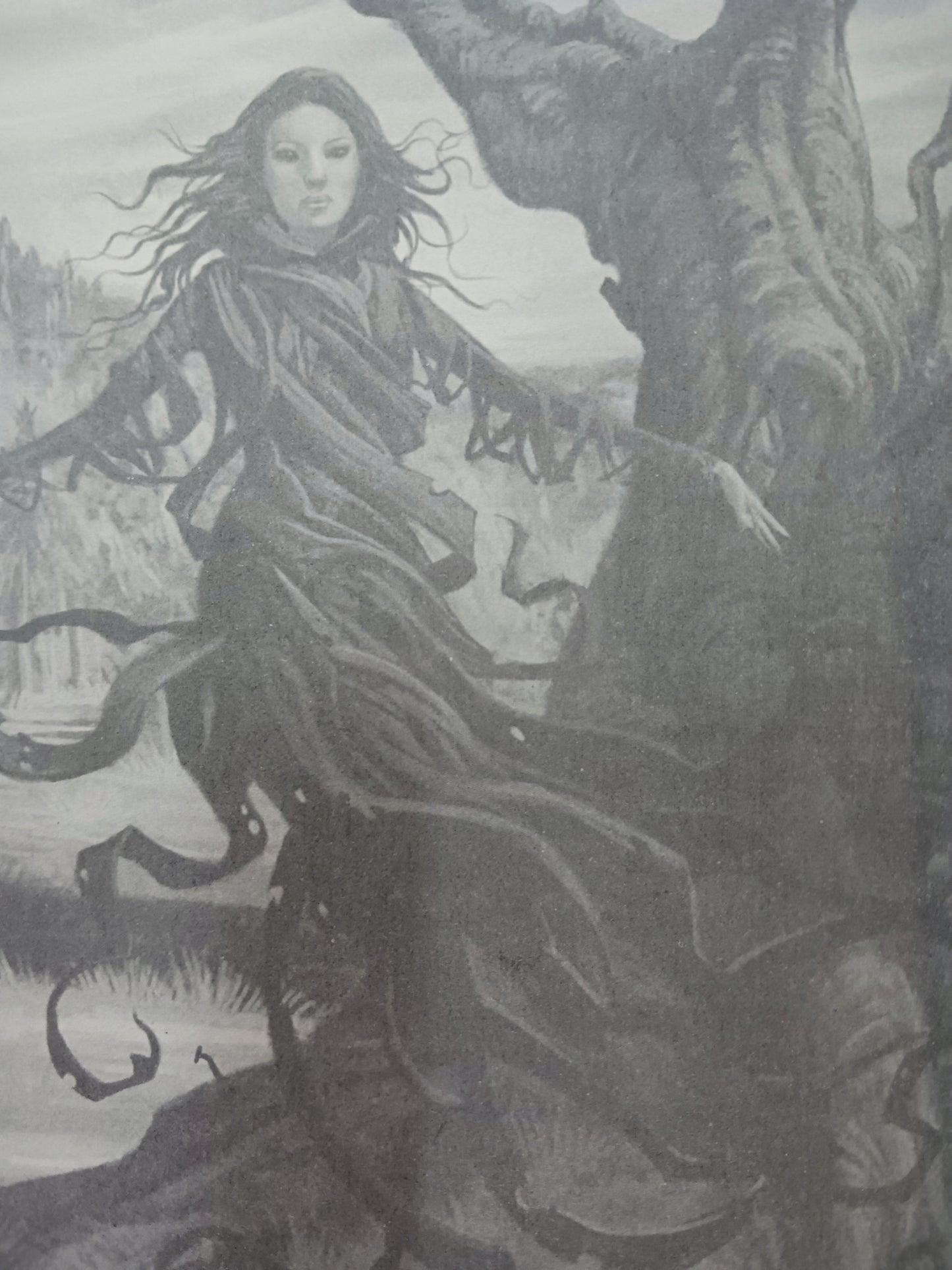 Brandon Mull x4 Baśniobór T. 1, 2, 3 Smocza straż T. 5