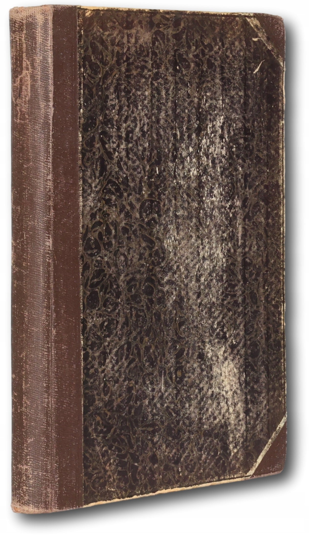 Karol Marks (historja jego życia), Franciszek Mehring
