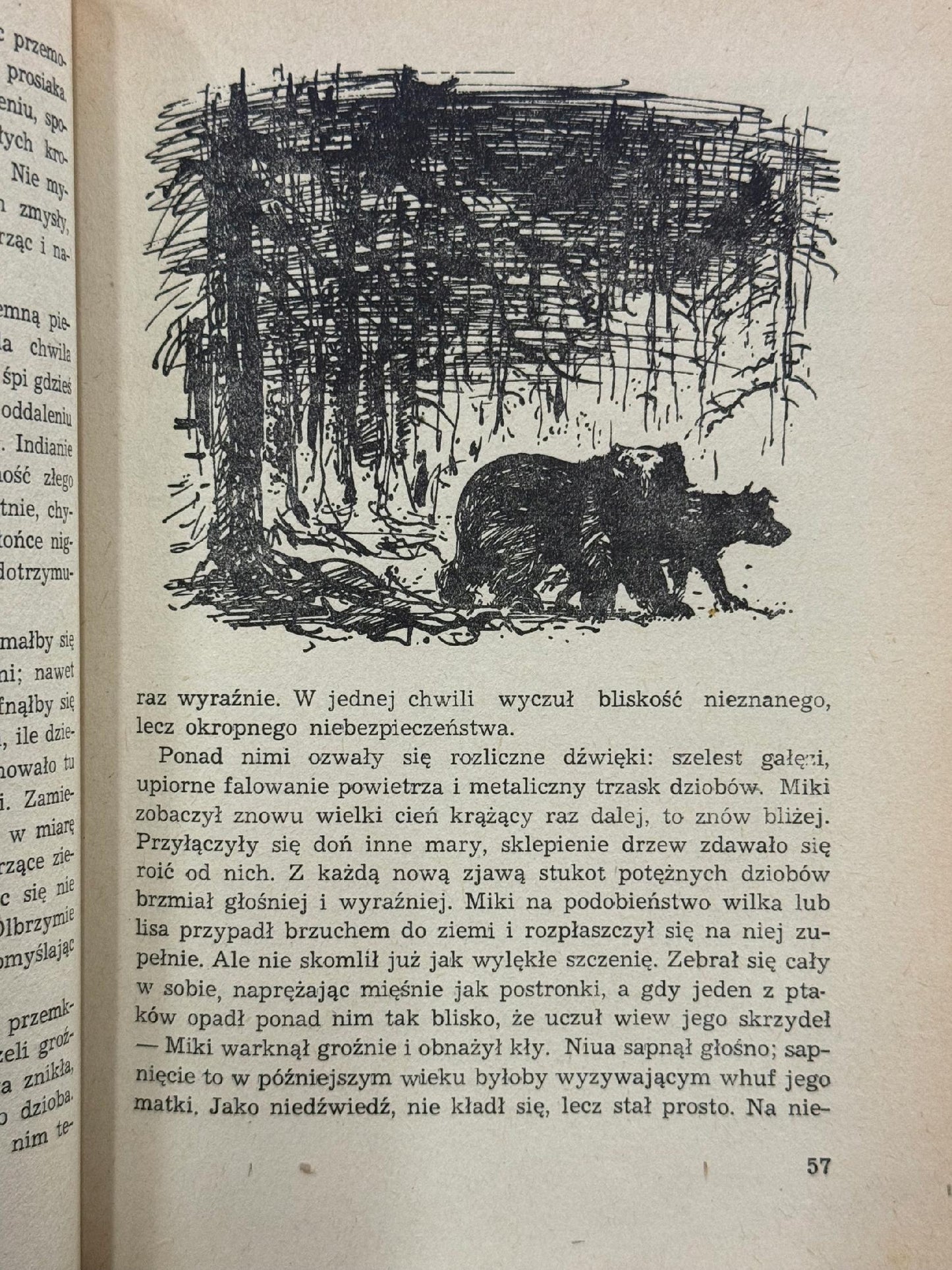 Włóczęgi północy James Oliver Curwood [1954][il. i okładka J. Grabiański]