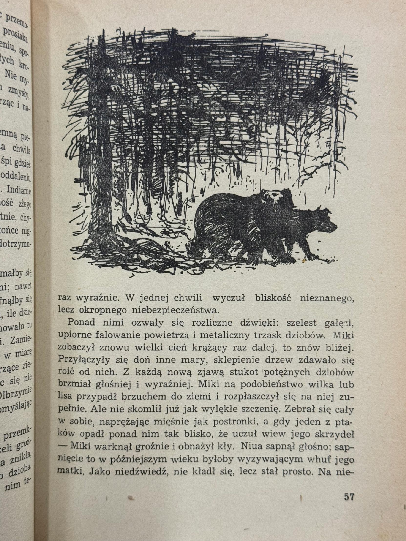 Włóczęgi północy James Oliver Curwood [1954][il. i okładka J. Grabiański]