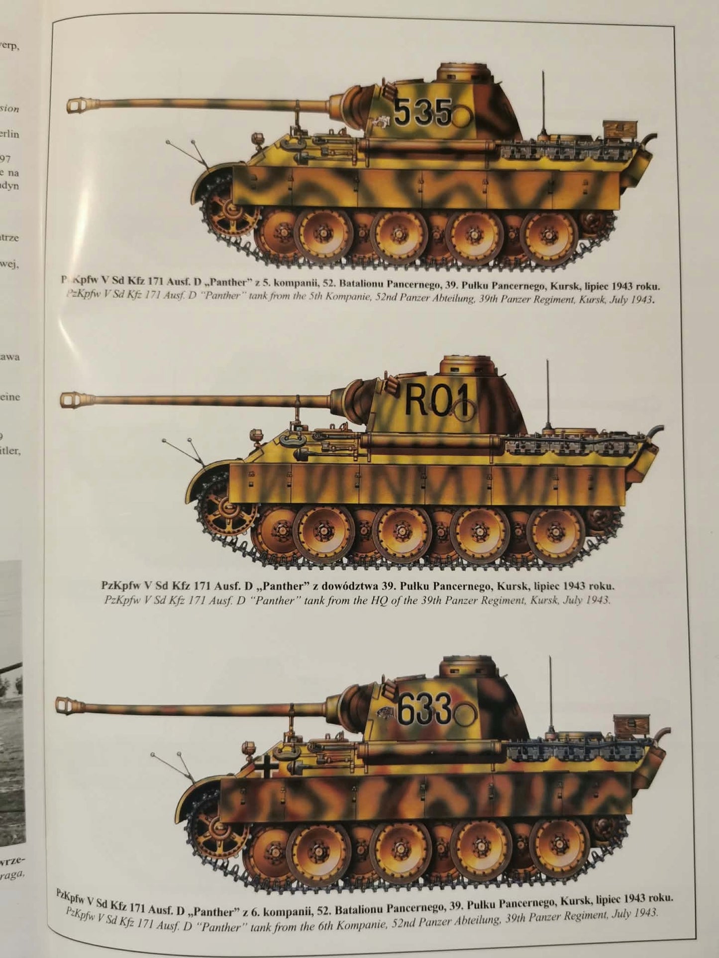 PANTHER W AKCJI 1943-1945, Jacek Solorz