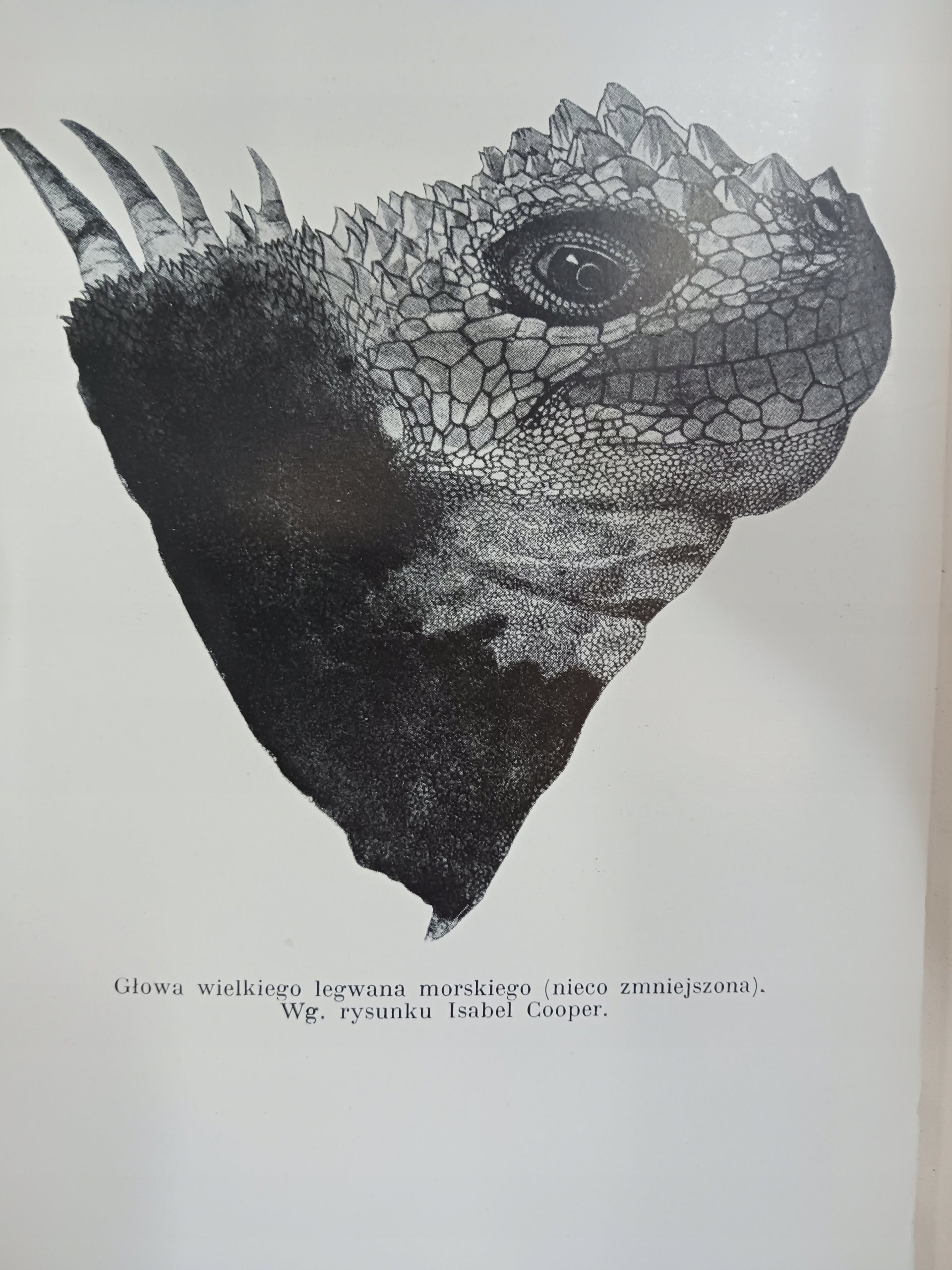 Galapagos na krańcach świata William Beebe [wydanie z roku 1938]