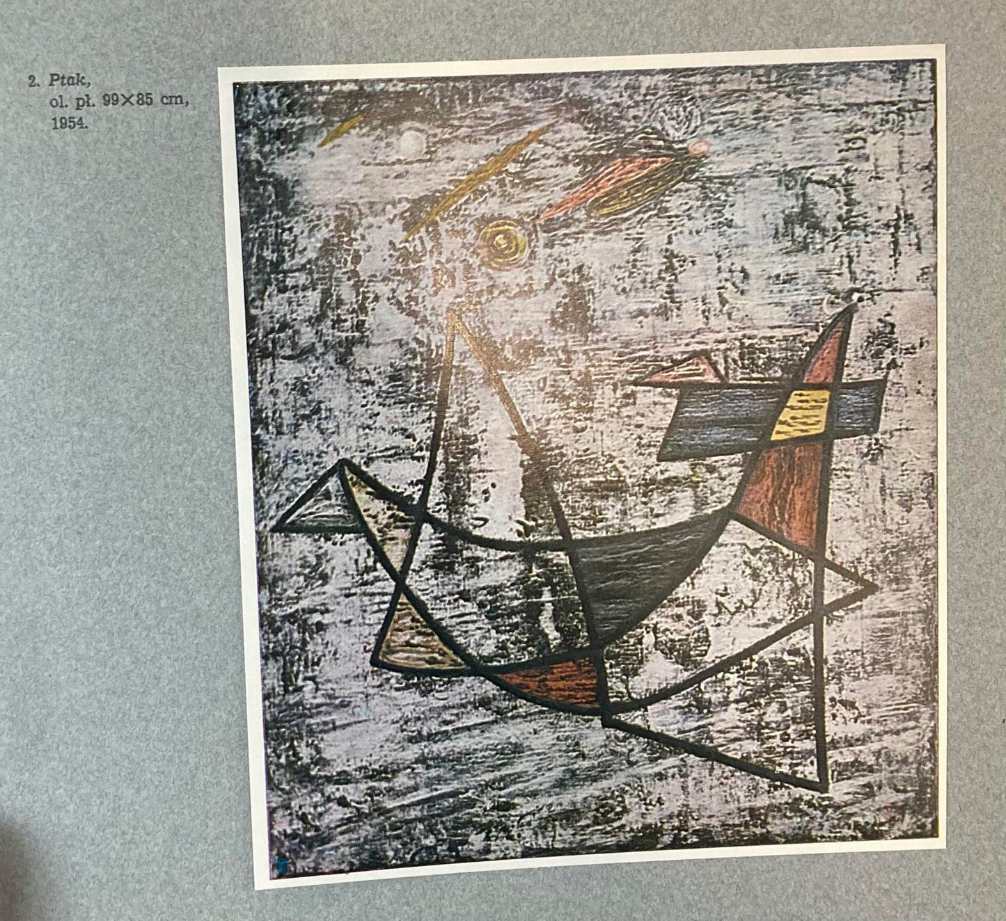 Helena Blum Jonasz Stern