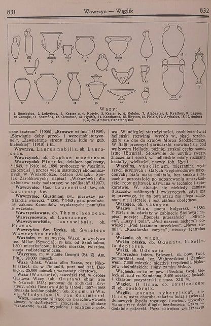 Ilustrowana encyklopedja Trzaski, Everta i Michalskiego [wyd. przedwojenne]