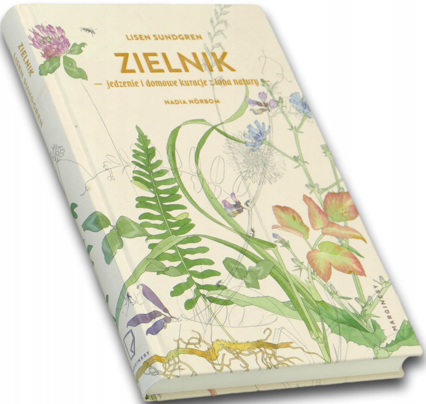 Zielnik, Lisen Sundgren