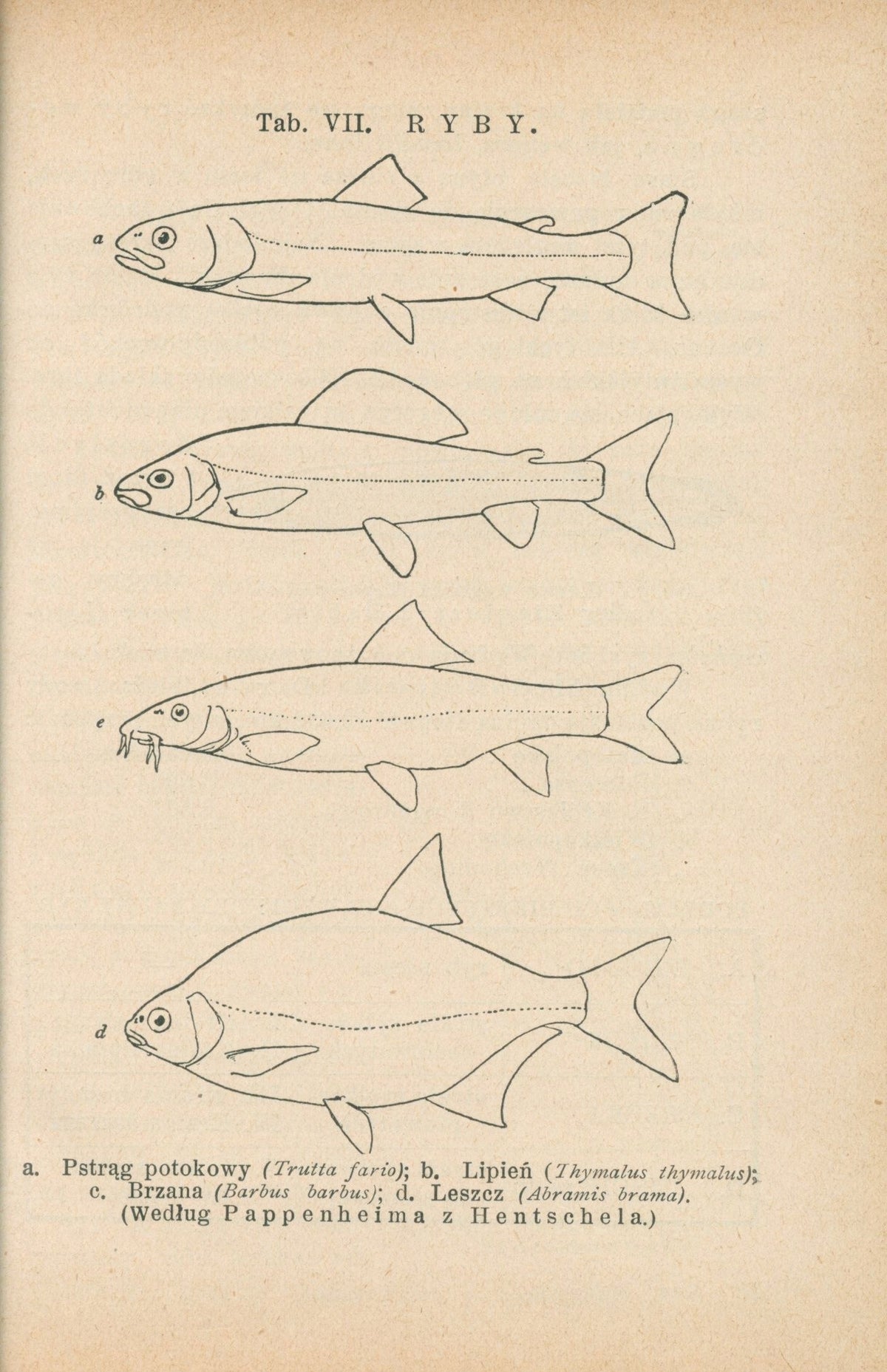 Bibljoteka Biologiczna Nr. 3, 4, 10, 11 Życie wód słodkich [1927-31]