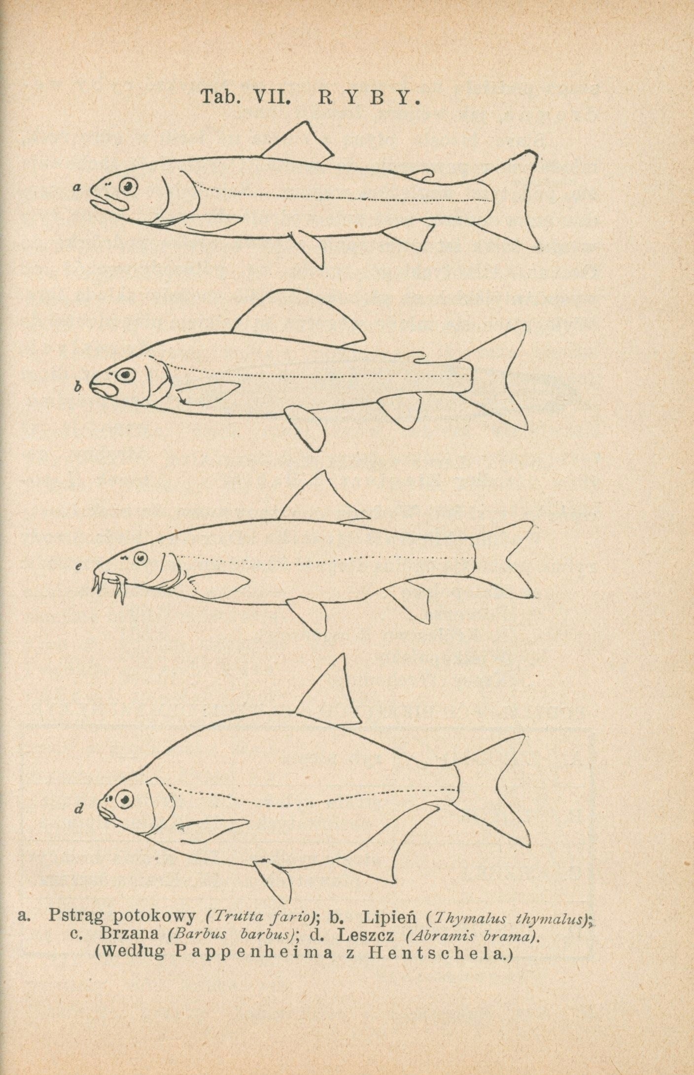 Bibljoteka Biologiczna Nr. 3, 4, 10, 11 Życie wód słodkich [1927-31]