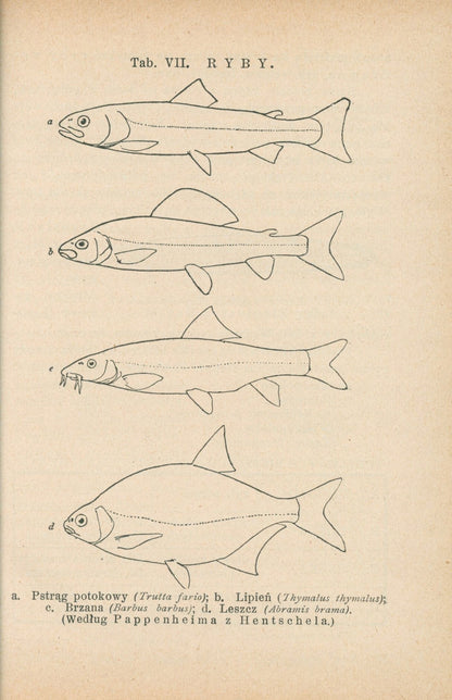 Bibljoteka Biologiczna Nr. 3, 4, 10, 11 Życie wód słodkich [1927-31]