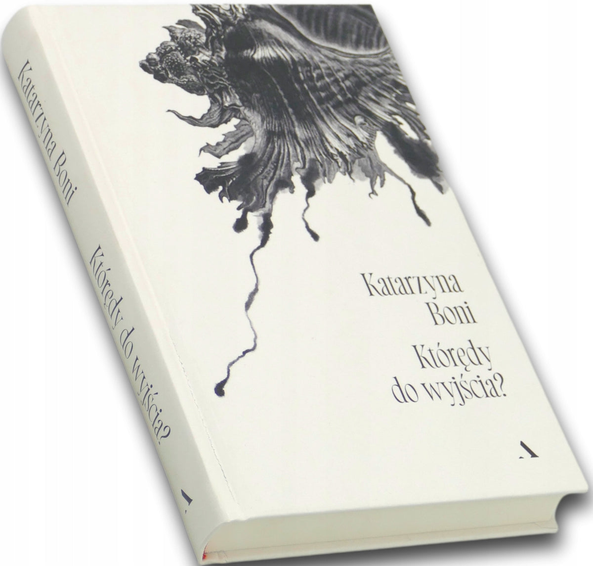 Którędy do wyjścia? Katarzyna Boni