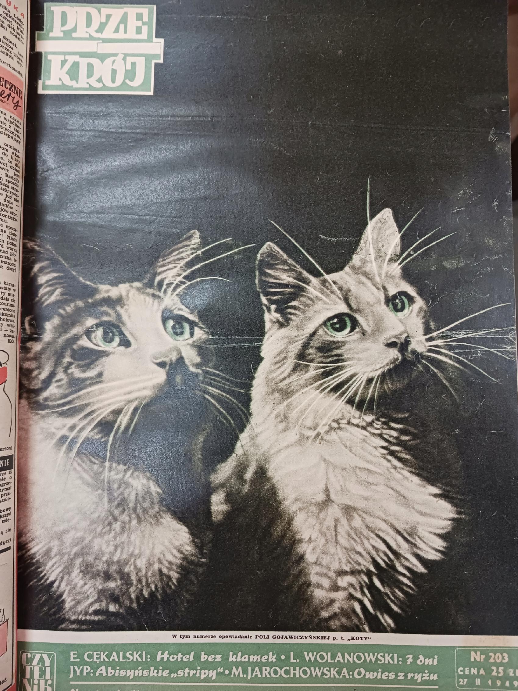 bc92aff371cb5bc14a4f0658d8191766