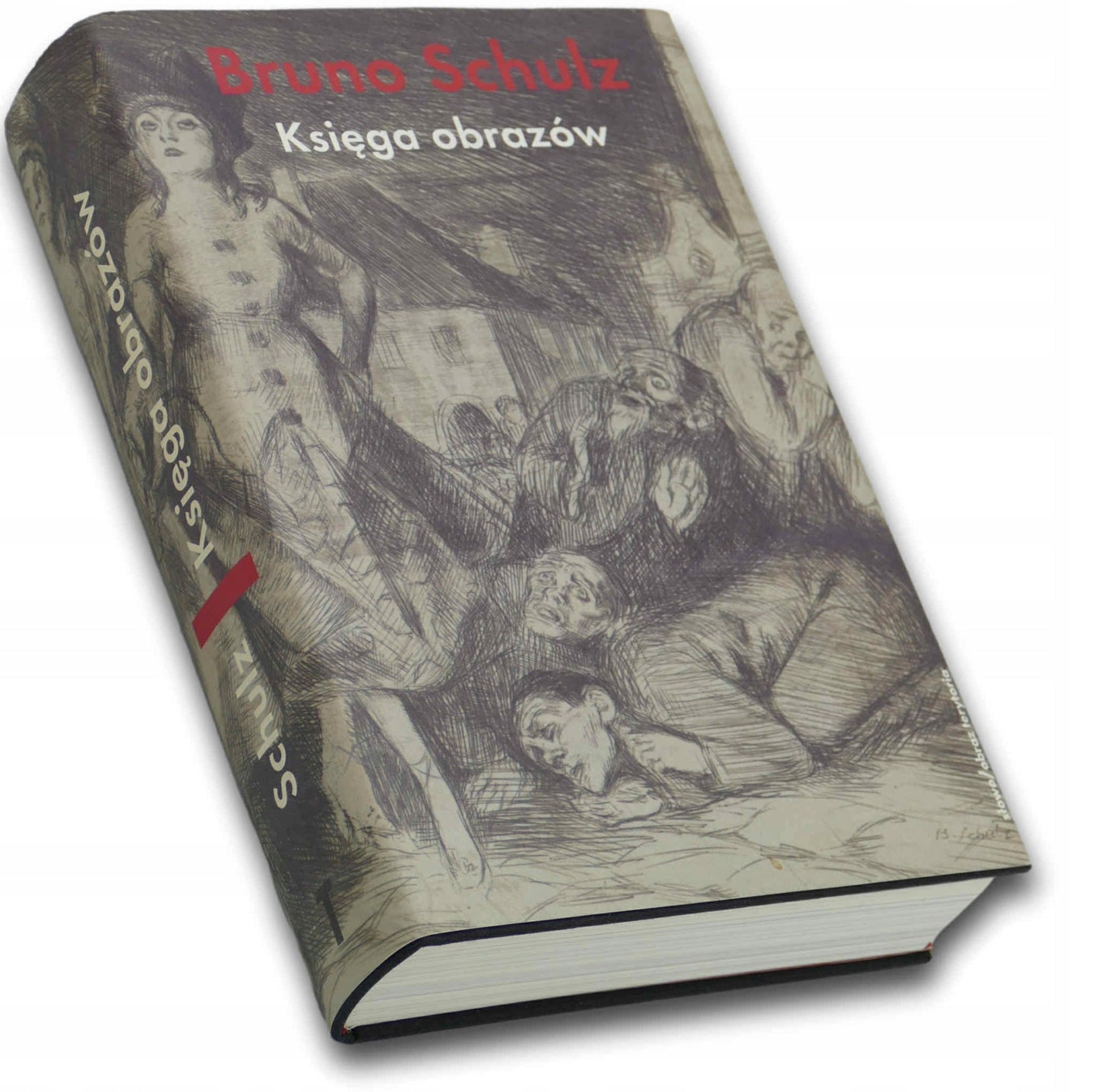 Księga obrazów, Bruno Schulz