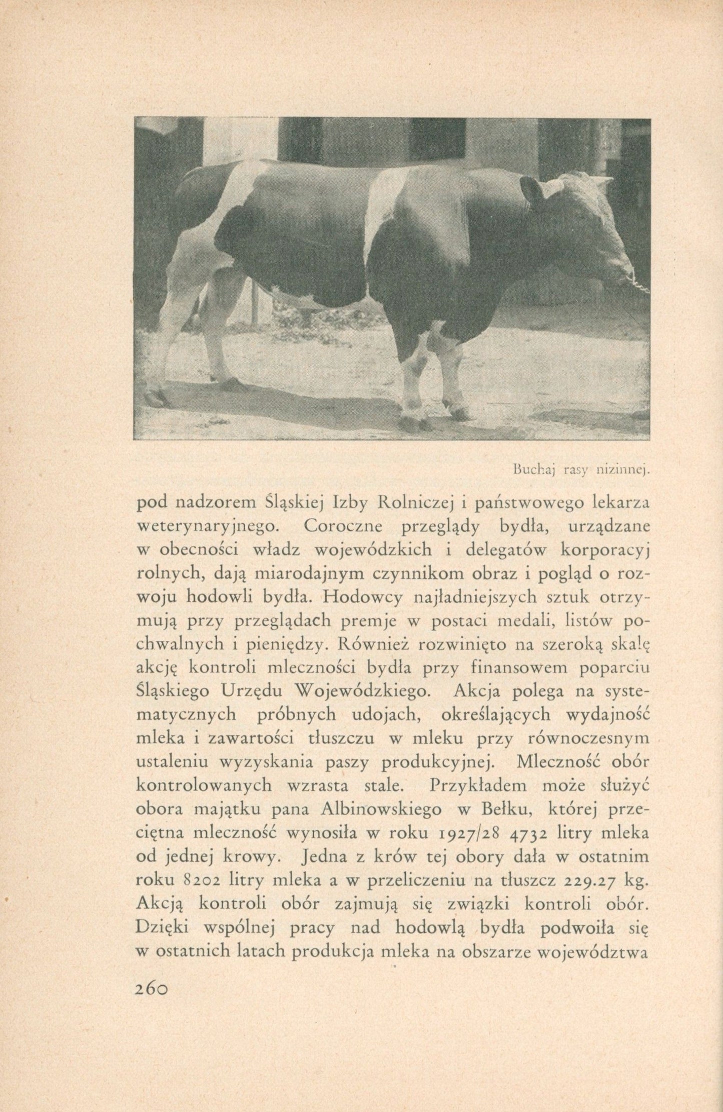 Województwo śląskie 1918-1928 Rozwój administracji samorządowej [1929]