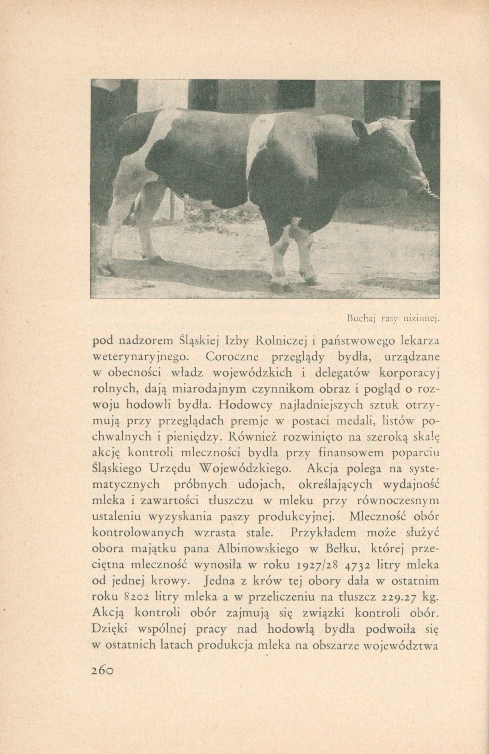 Województwo śląskie 1918-1928 Rozwój administracji samorządowej [1929]