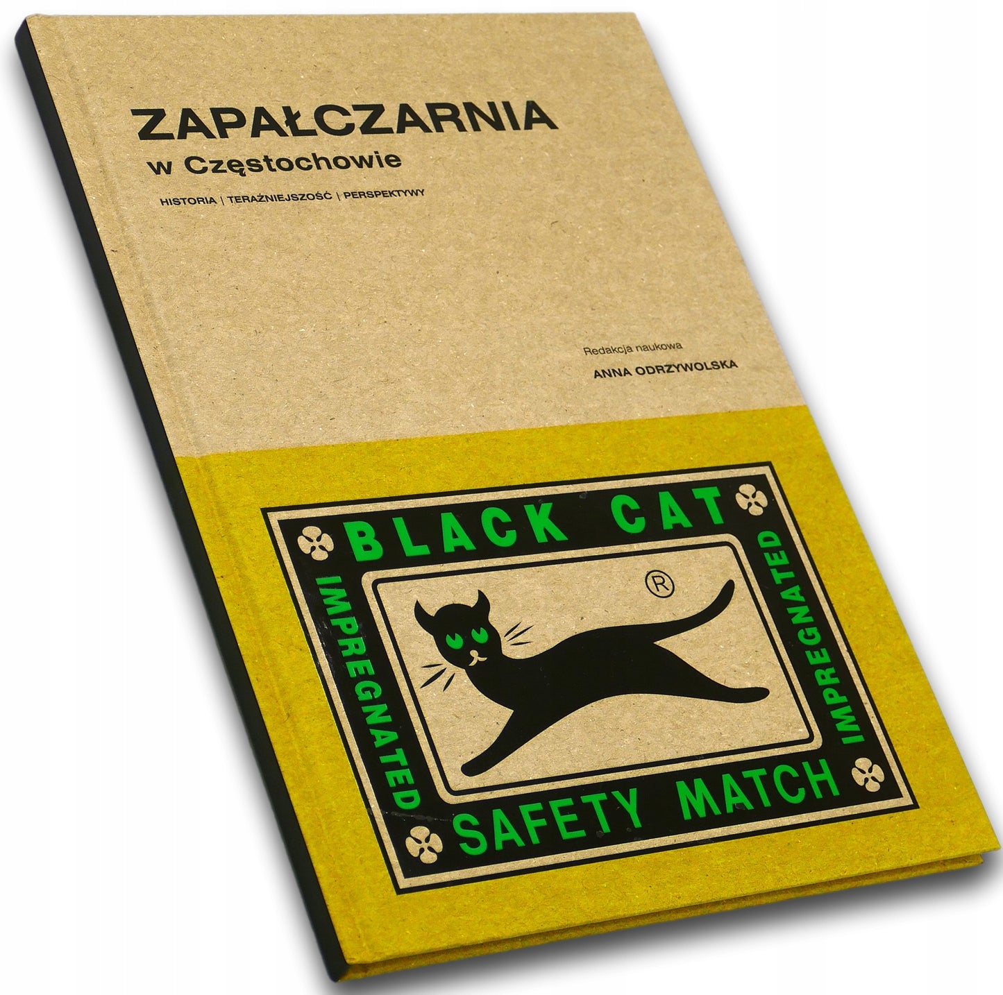 Zapałczarnia w Częstochowie. Historia, teraźniejszość, perspektywy