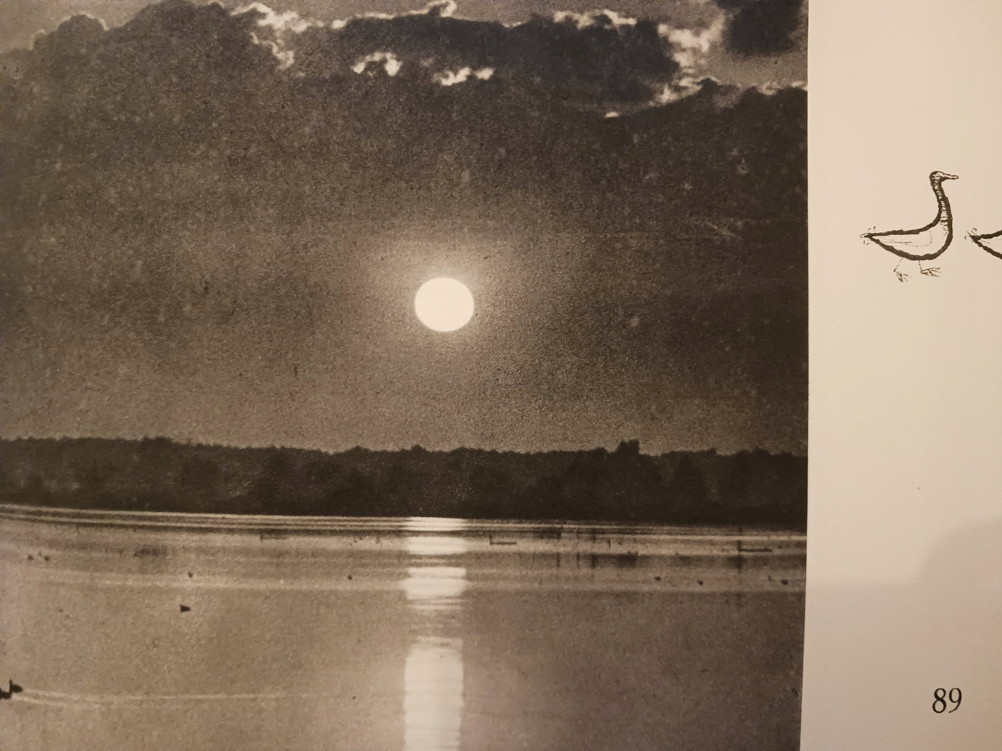Śpiewnik dla dzieci Cztery pory roku Konopnicka, Noskowski, Puchalski 1958