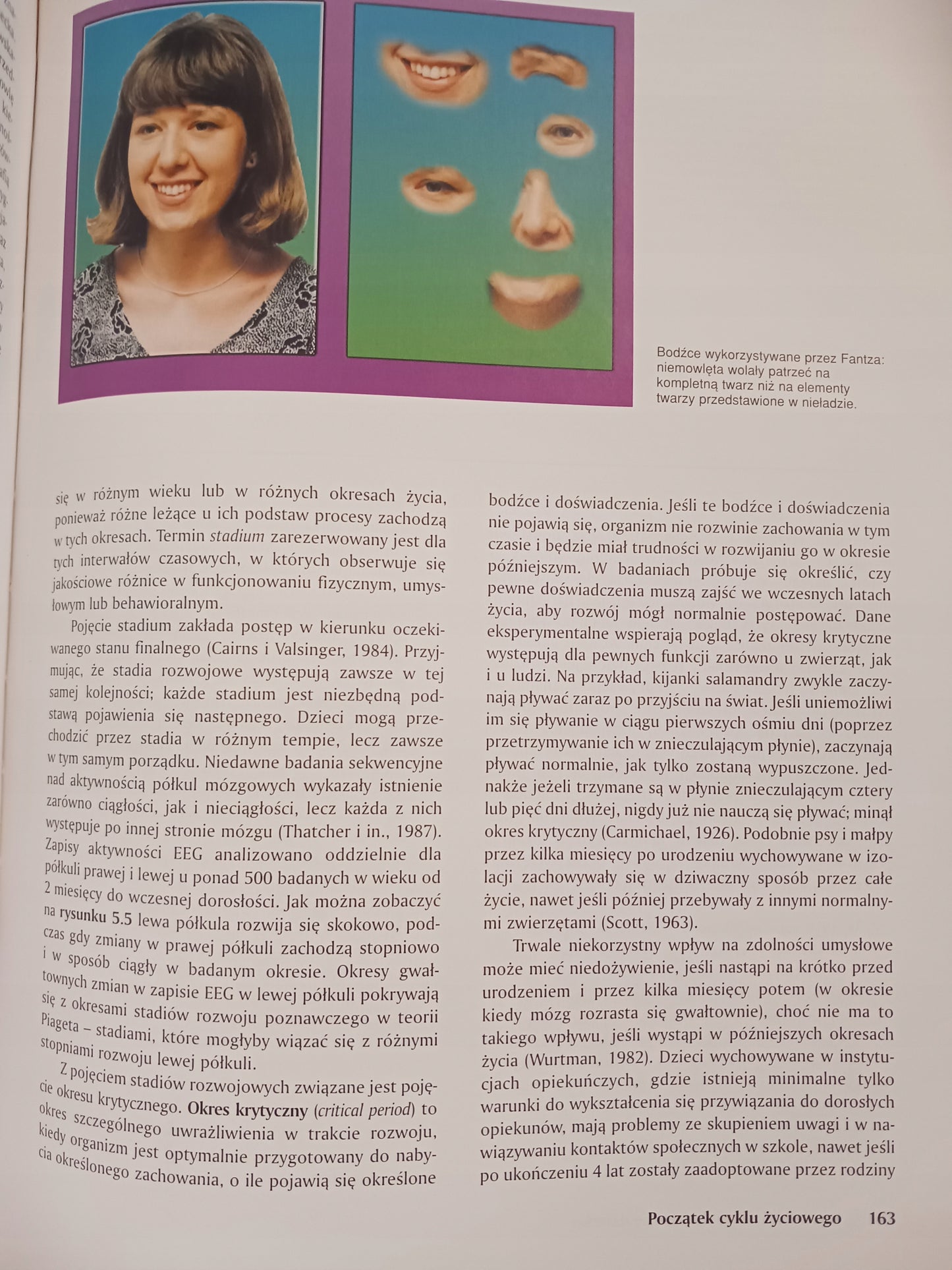 Psychologia i życie Philip G. Zimbardo
