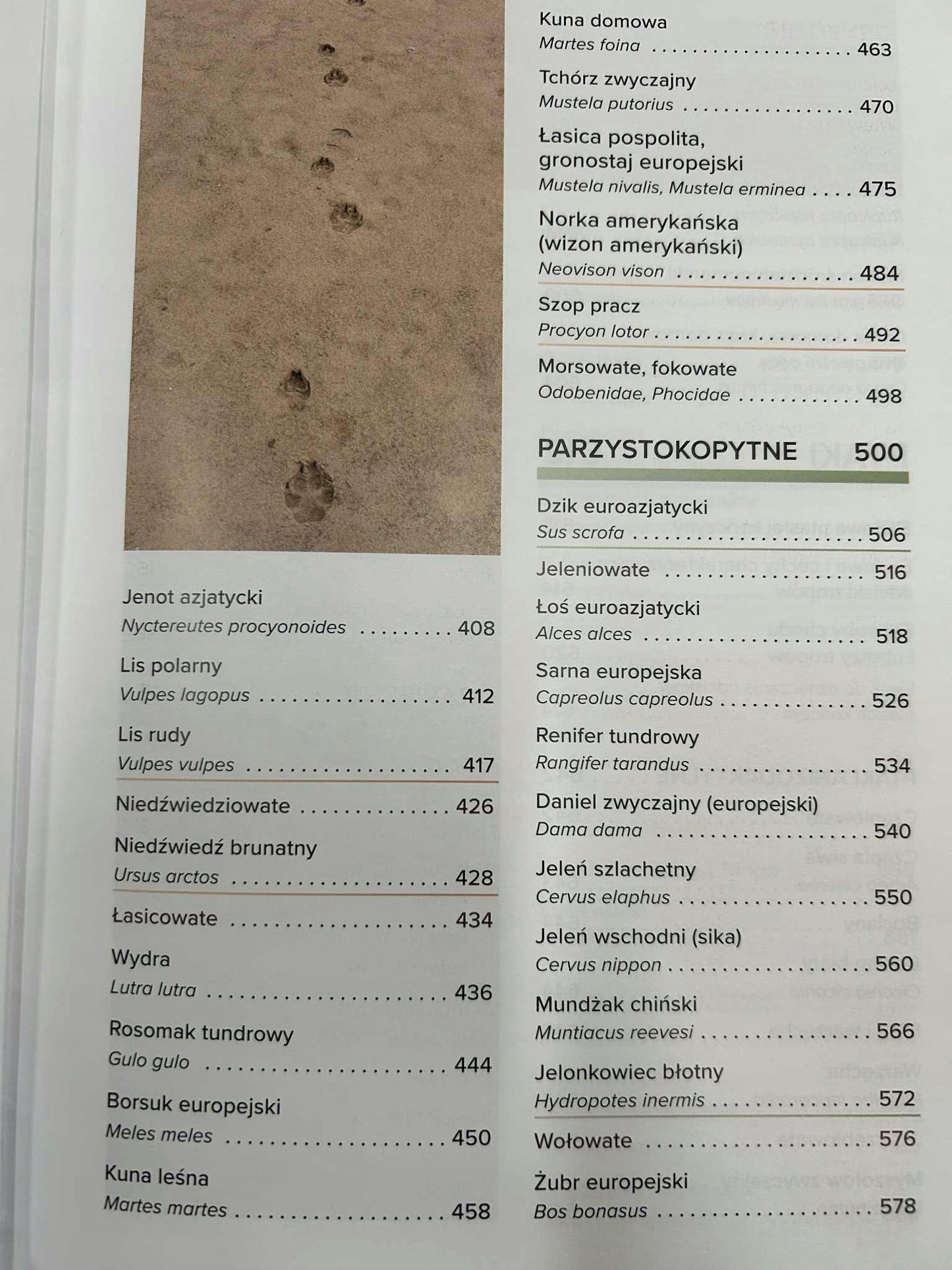 4e8e11861c0f20d28105f0bf0be2a502