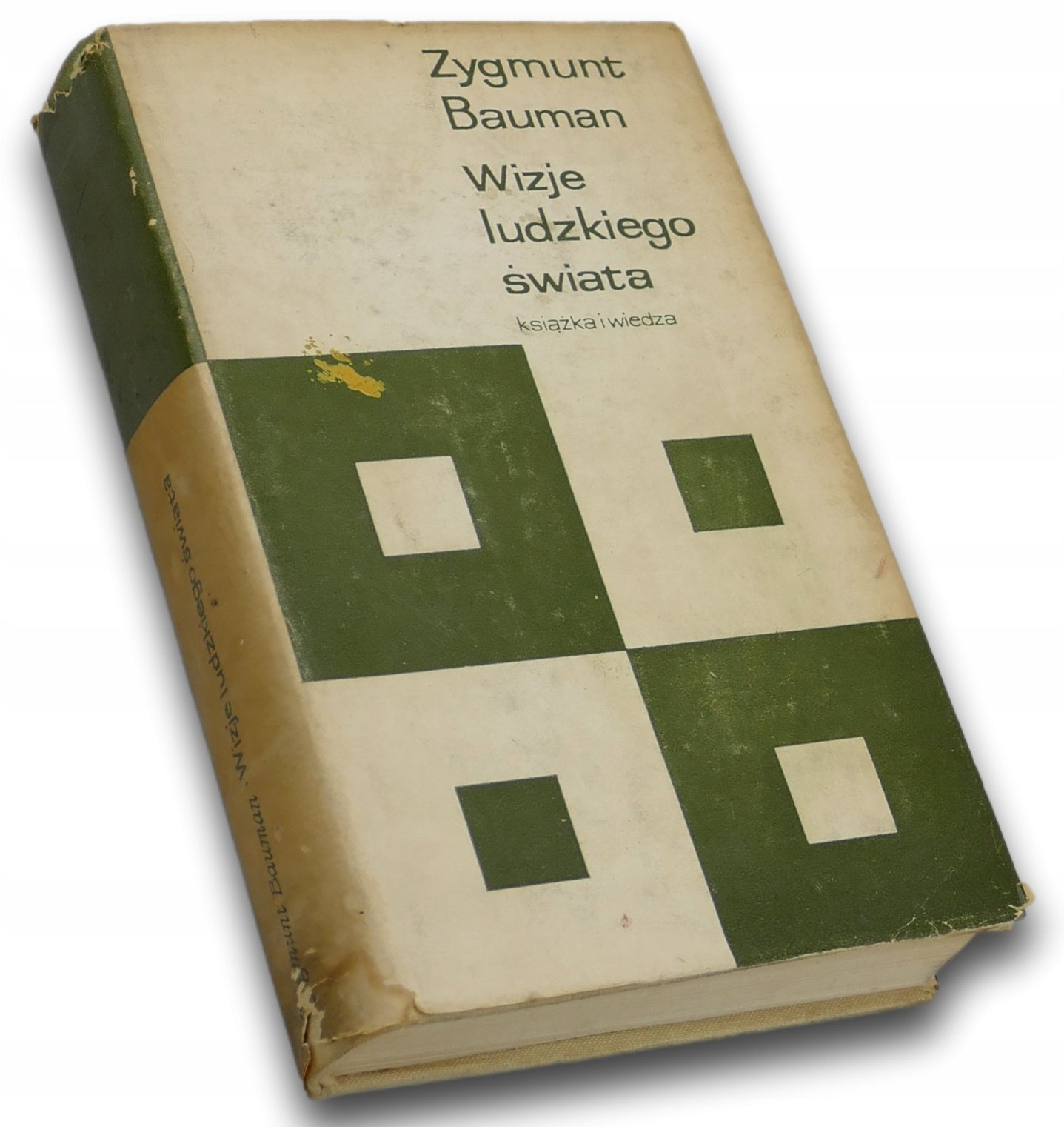 Wizje ludzkiego świata, Zygmunt Bauman [1964]
