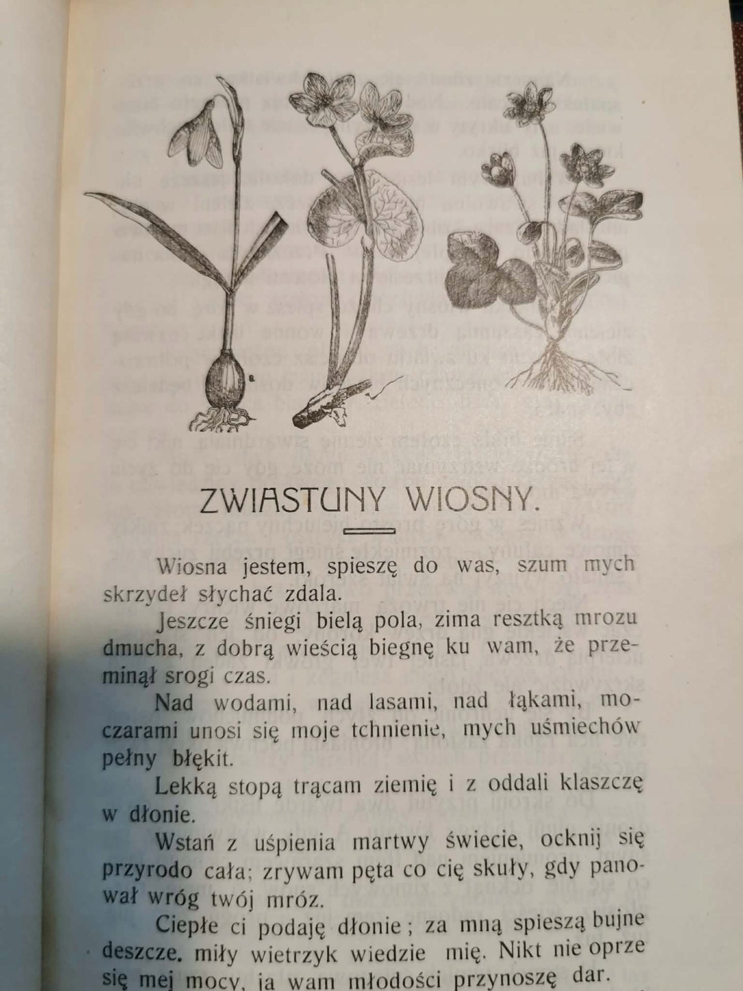 Obrazki z przyrody, Marya Czerszyk [Lwów 1913]