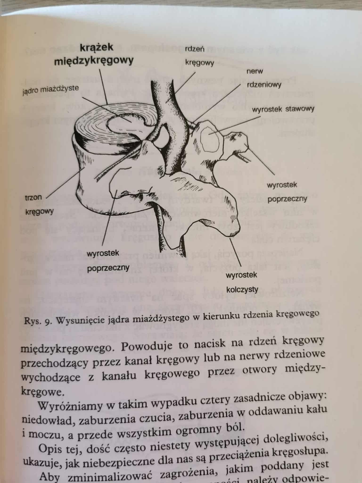 Kręgosłup. Klucz do zdrowia, Jacek Kniaziołucki, Wiesław Niesłuchowski