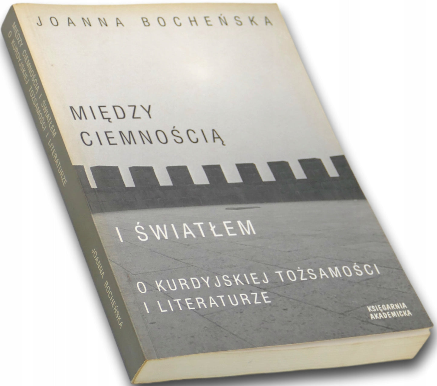 Między ciemnością a światłem, Joanna Bocheńska